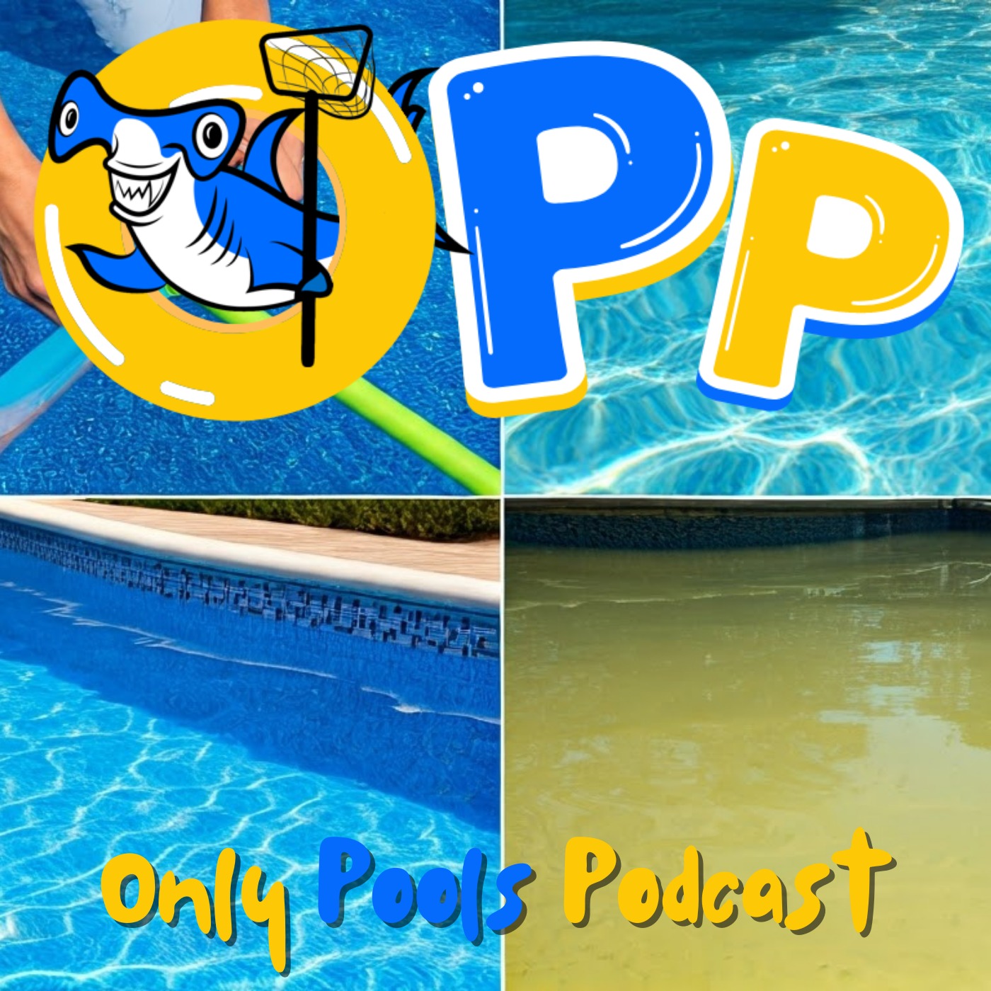 What Happens If You Neglect Your Pool!