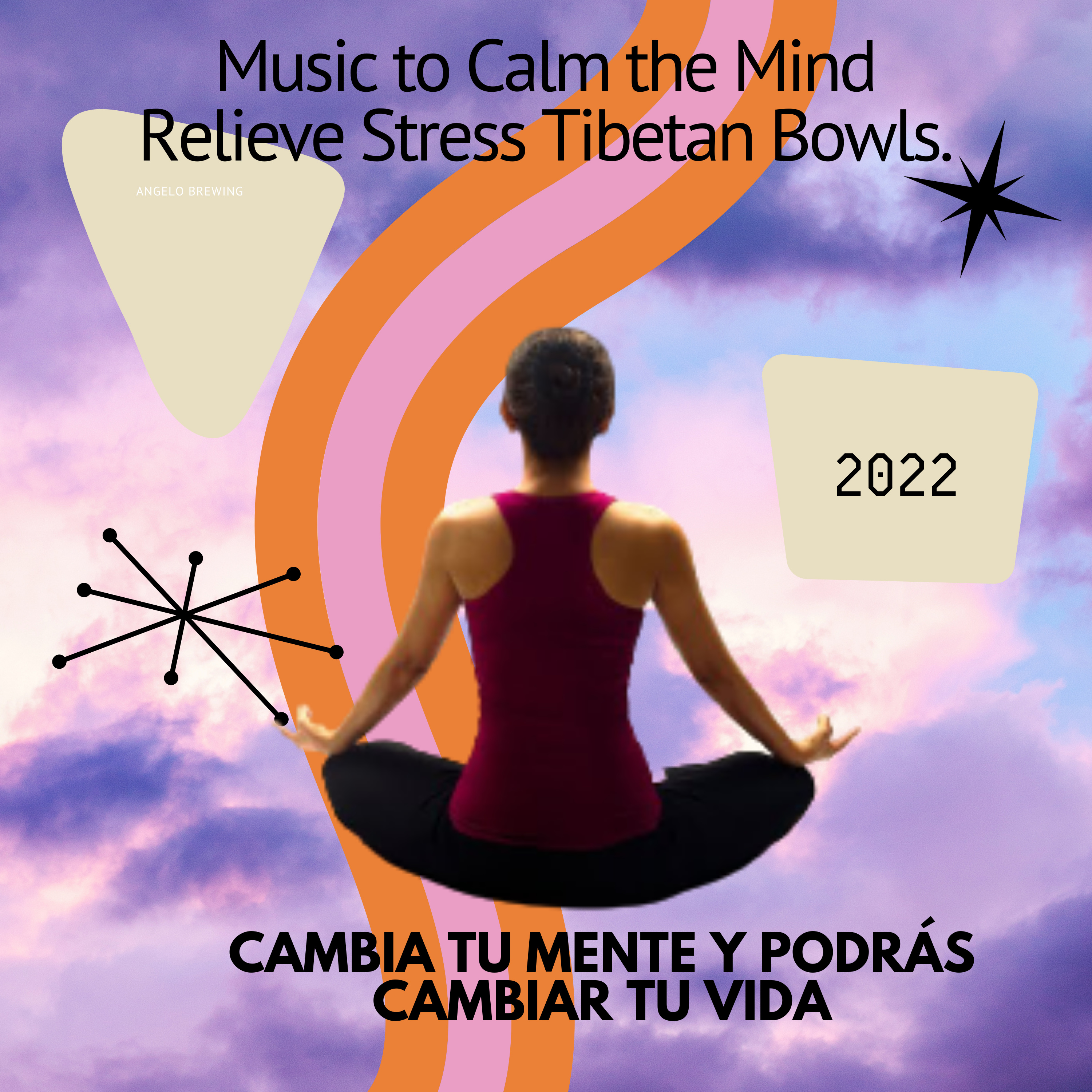Music to Calm the Mind Relieve Stress Tibetan Bowls. episode artwork