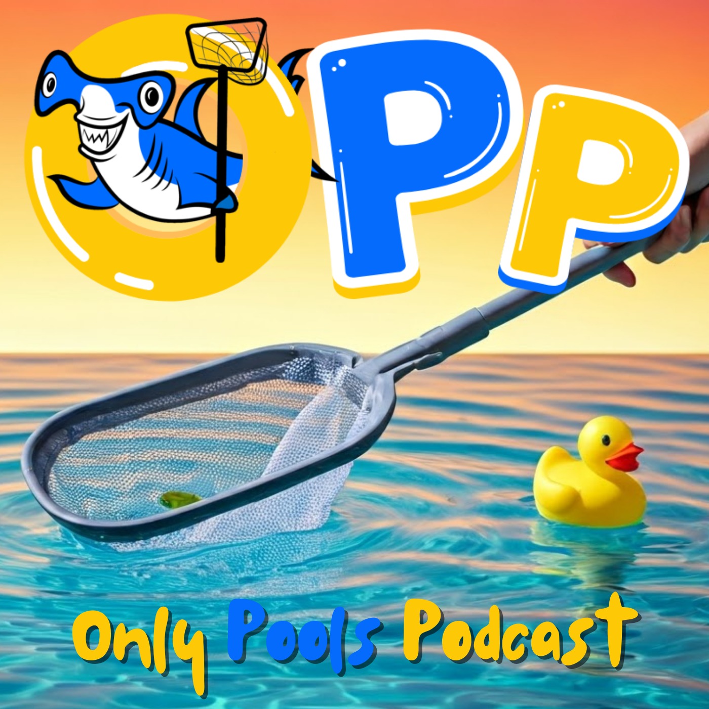 Essential Pool Cleaning Supplies: What You Need