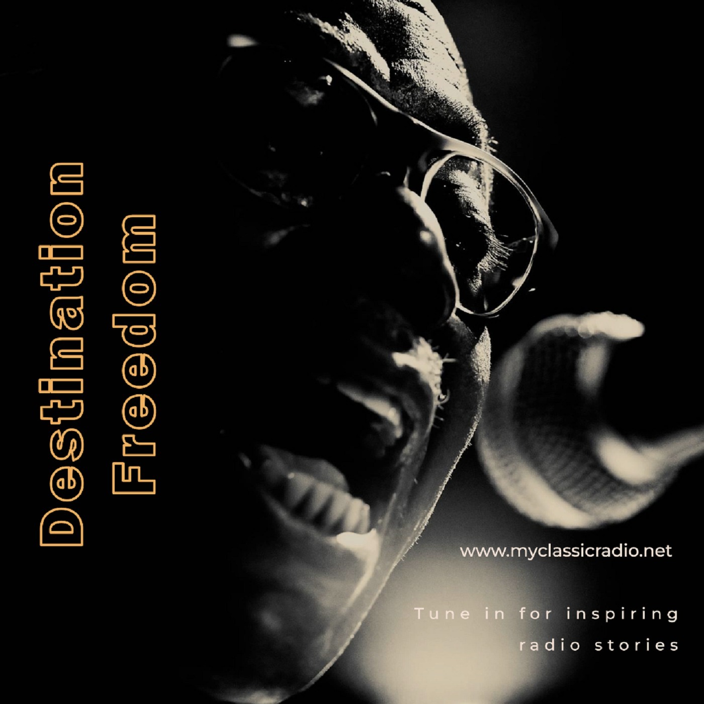 Destination Freedom (002) 1948-07-04 Railway to Freedom episode artwork