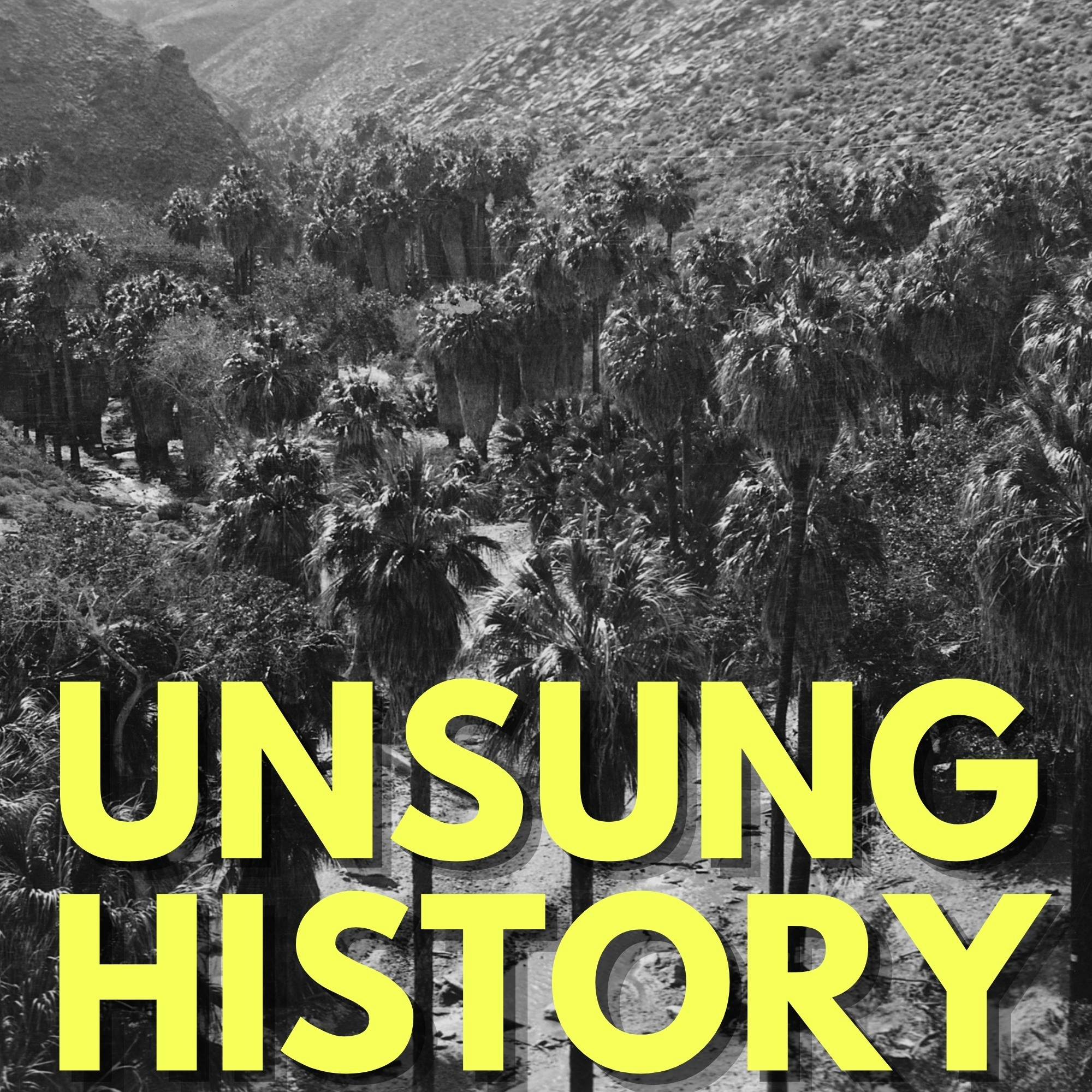 Unsung History