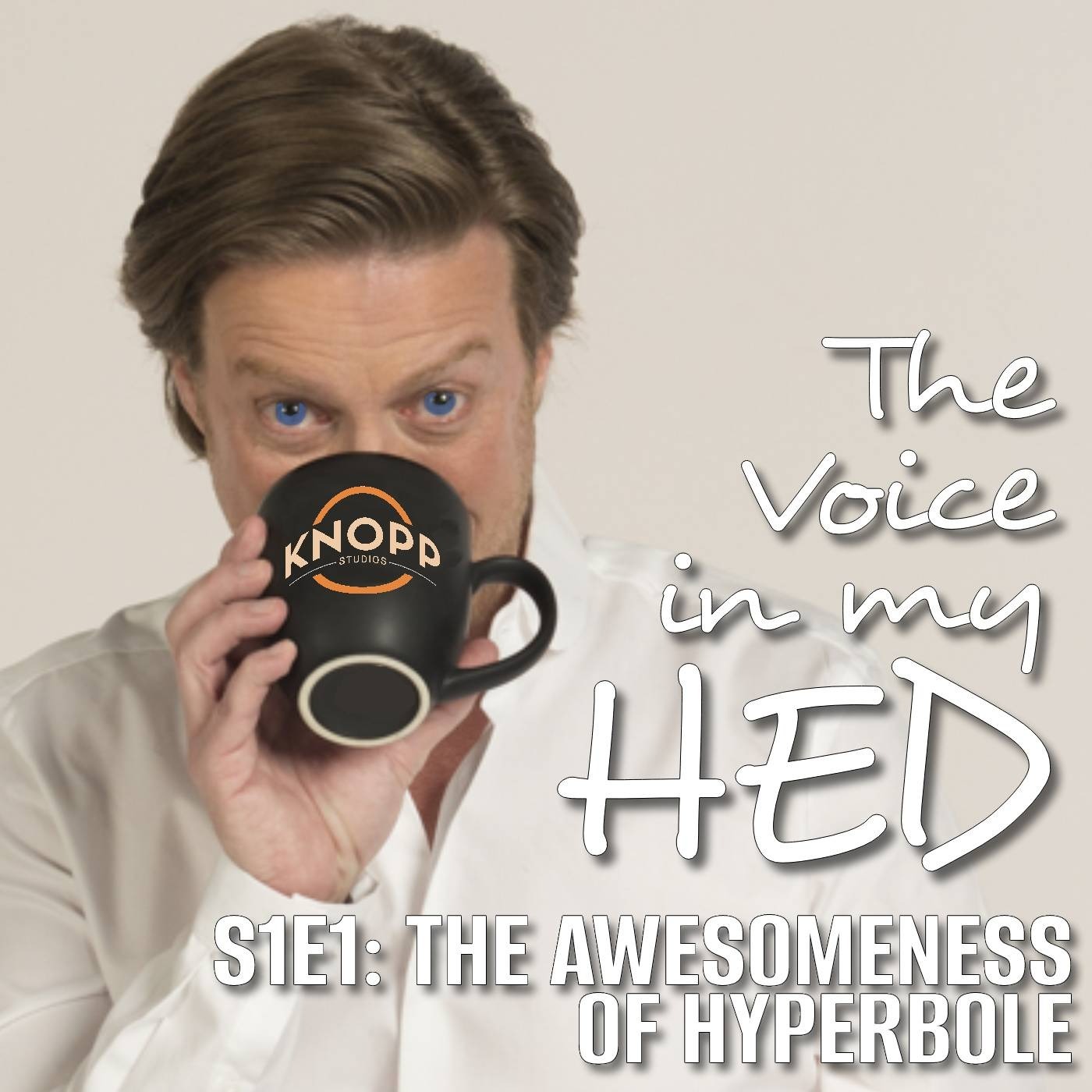 The Voice In My HED