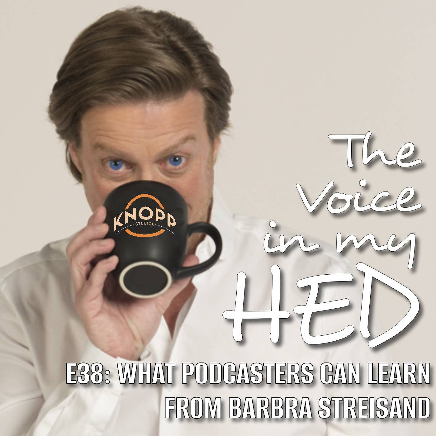 The Voice In My HED