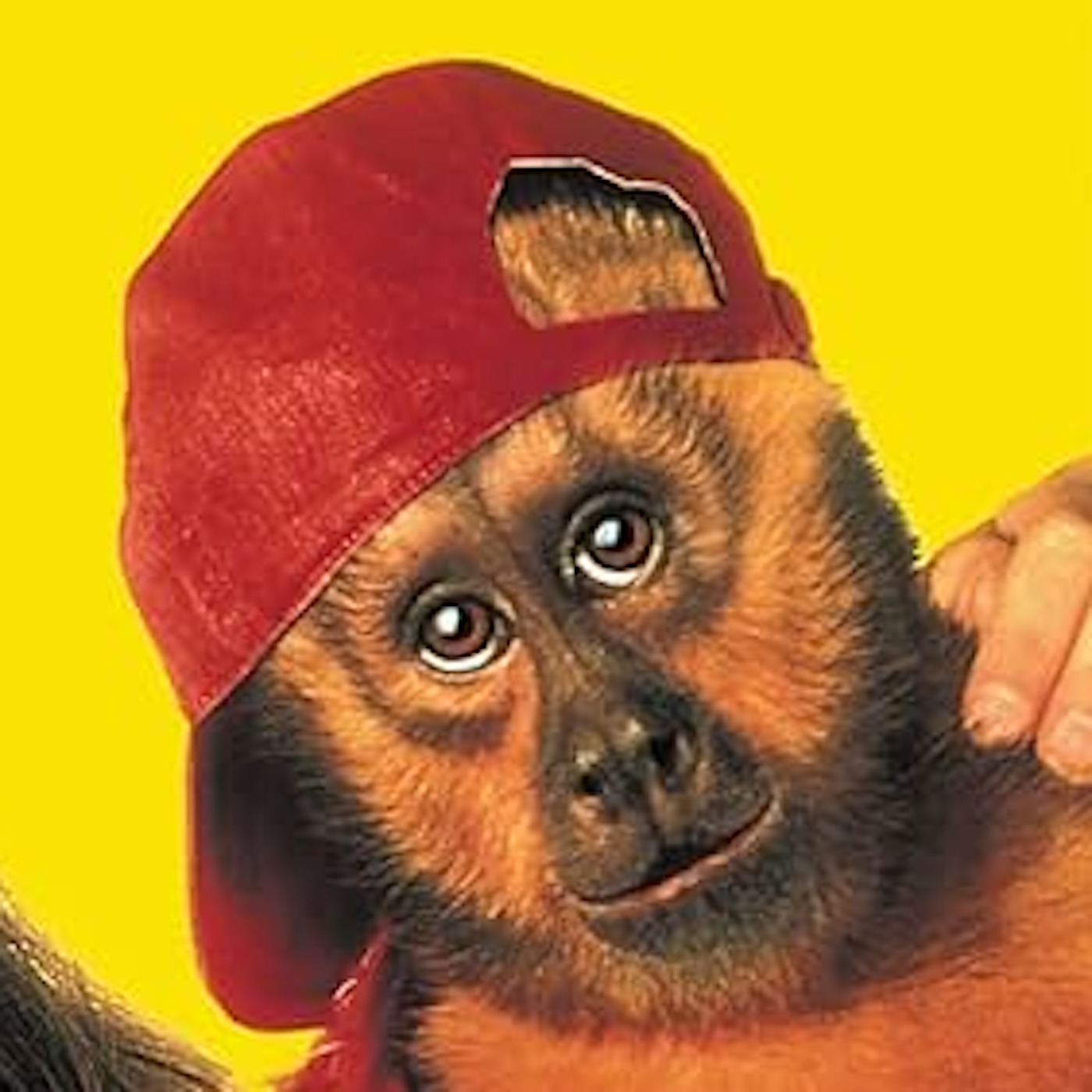 Episode 137 - Monkey Trouble episode artwork