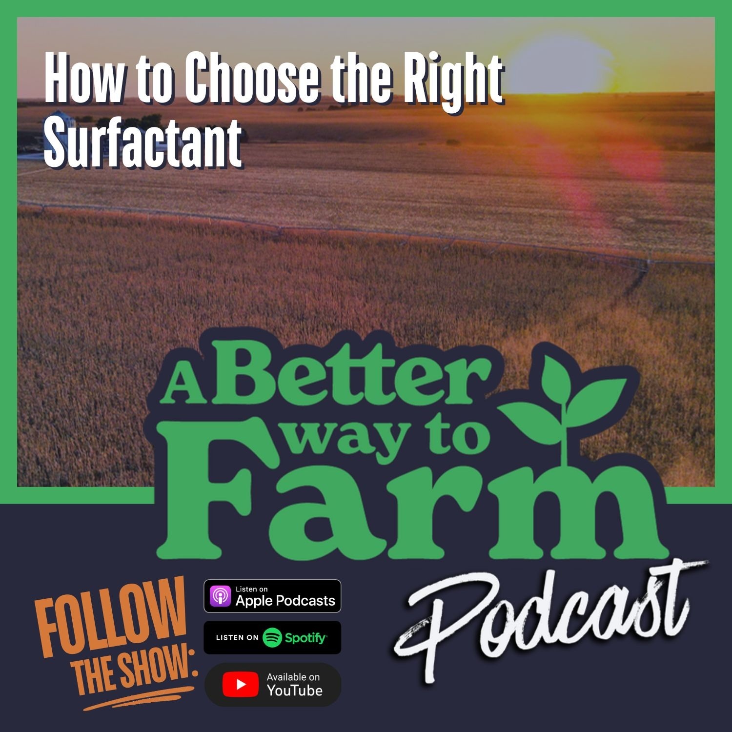 295: How to Choose the Right Surfactant
