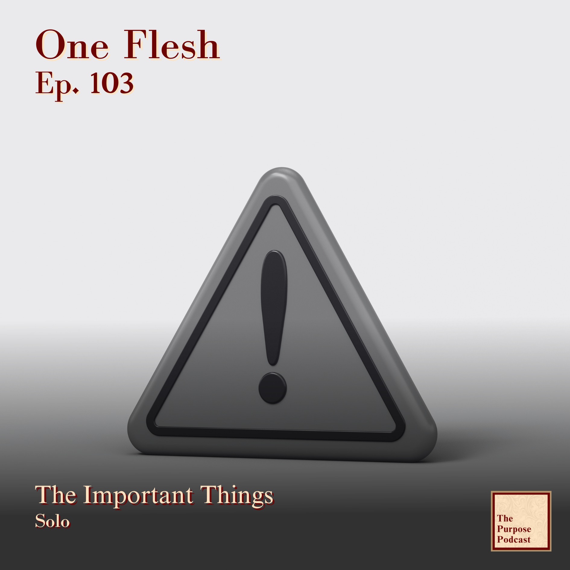 One Flesh Ep. 103 - The Important Things | Solo episode artwork