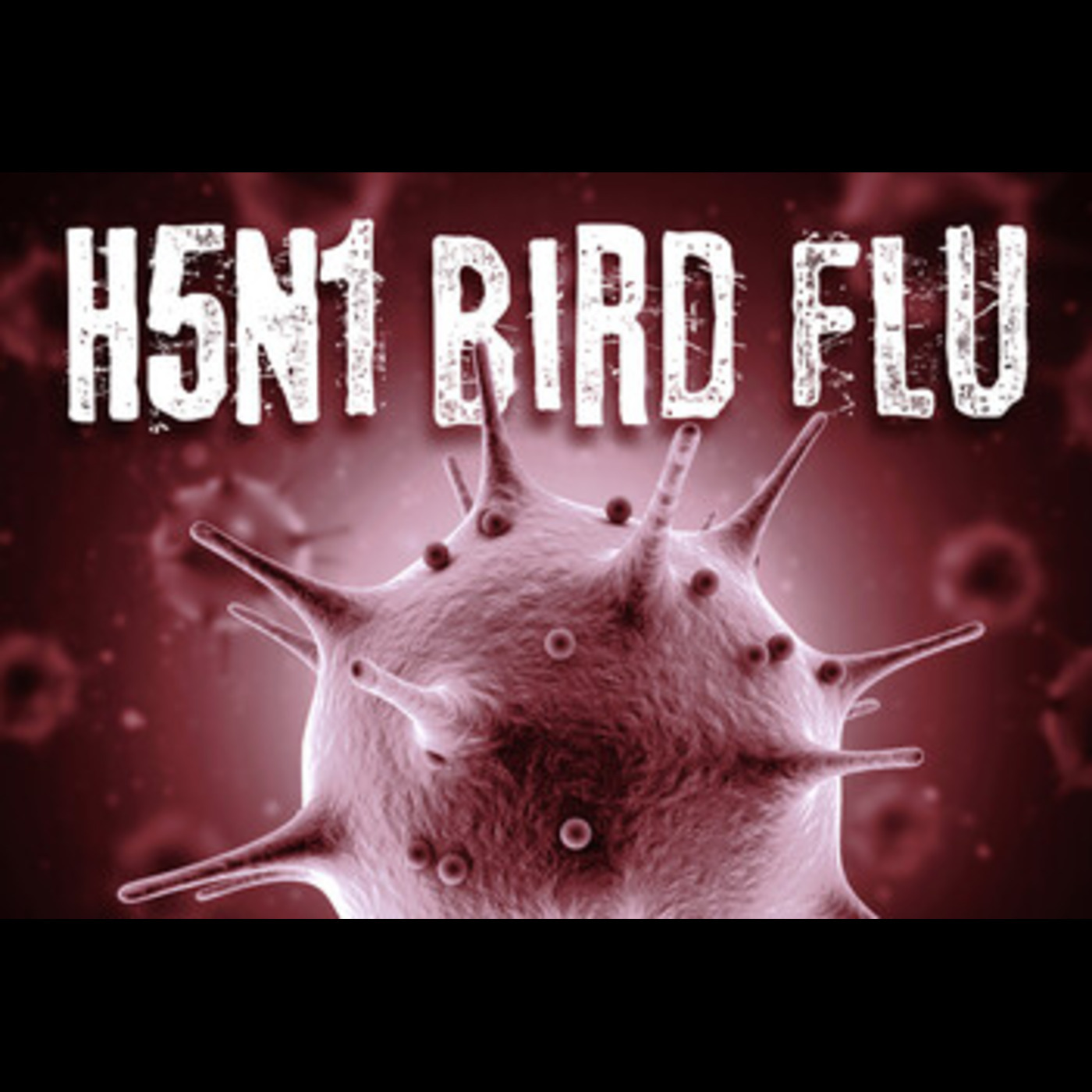 First Human Cases of Bird Flu Reported In California episode artwork