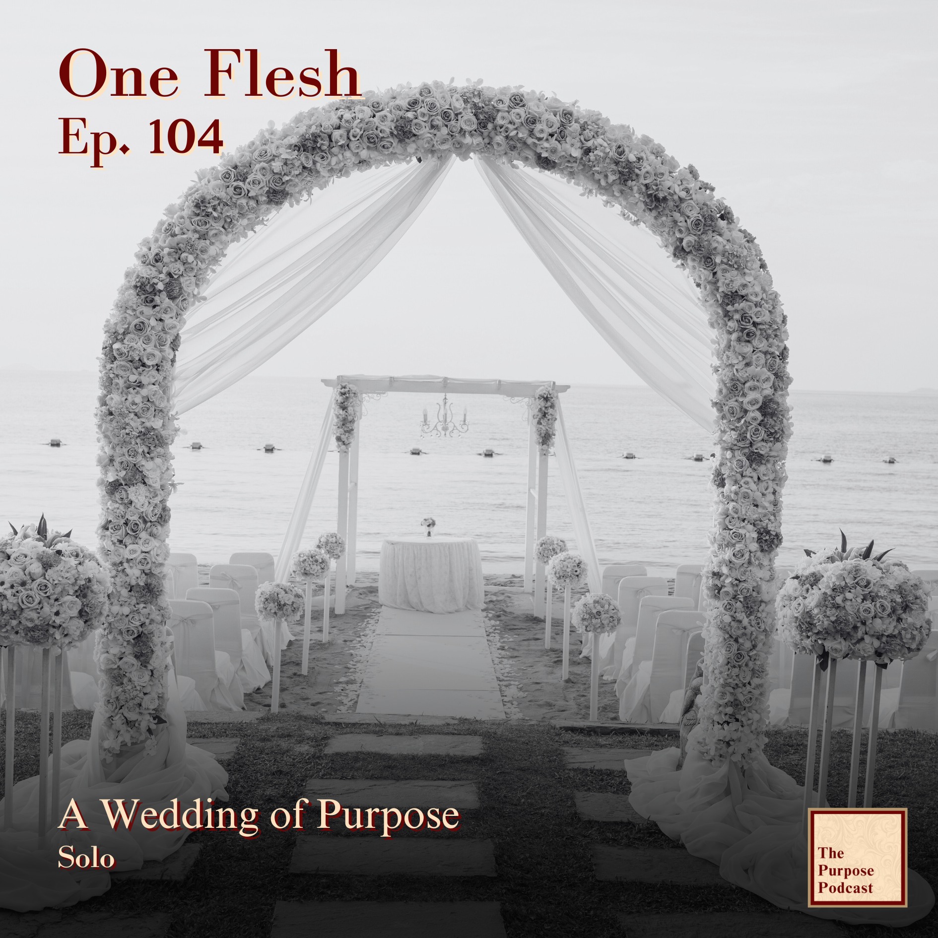 One Flesh Ep. 104 - A Wedding of Purpose | Solo episode artwork