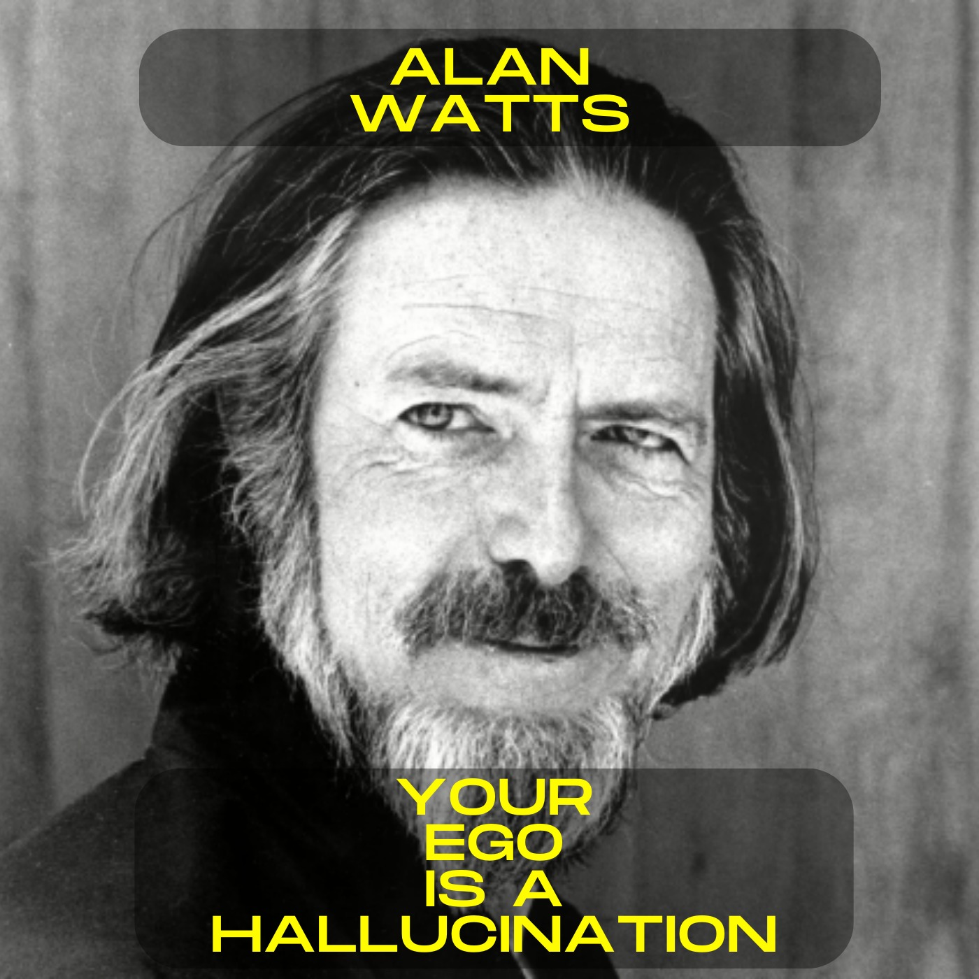 Alan Watts - Your ego is a hallucination motivational speech