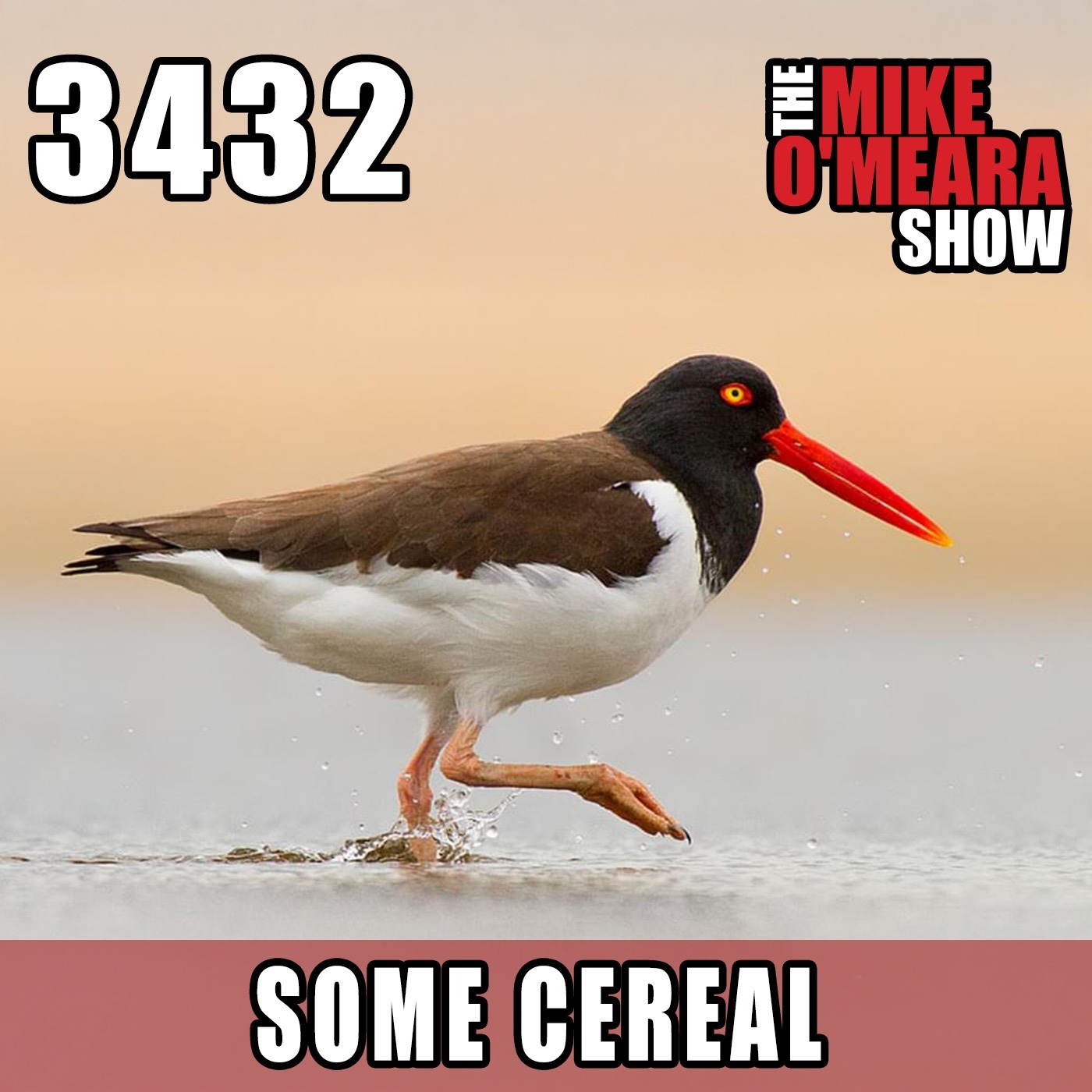 The Mike O\'Meara Show