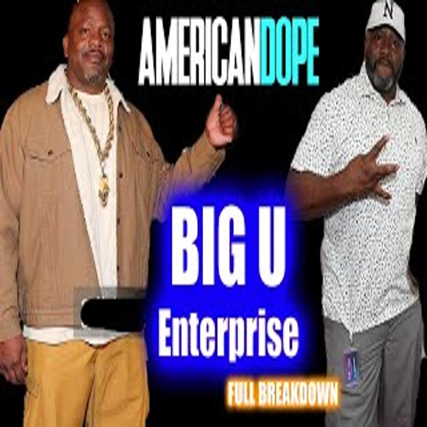 Big U Enterprise Full Indictment Al Profit Analysis episode artwork