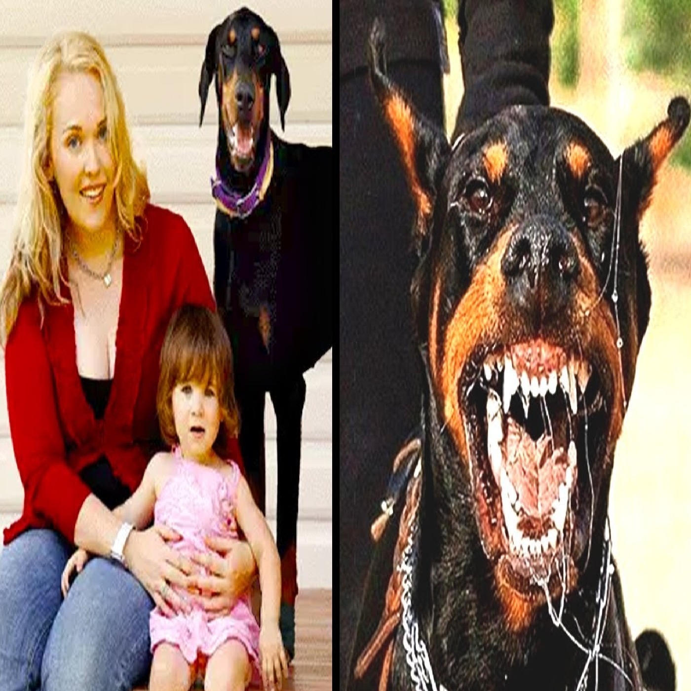This Family Adopted A Doberman But After 5 Days They Heard A Scream