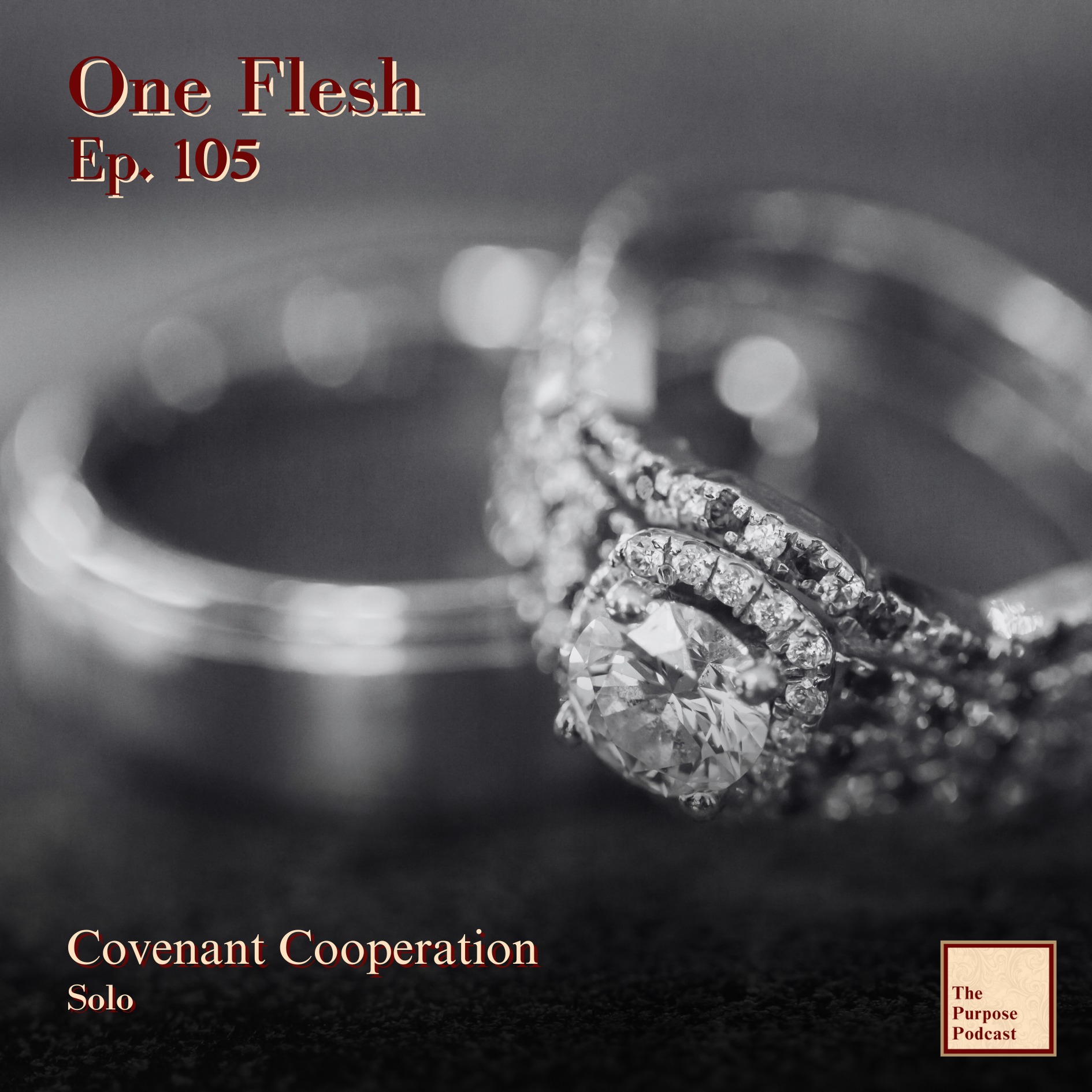 One Flesh Ep. 105 - Covenant Cooperation | Solo episode artwork