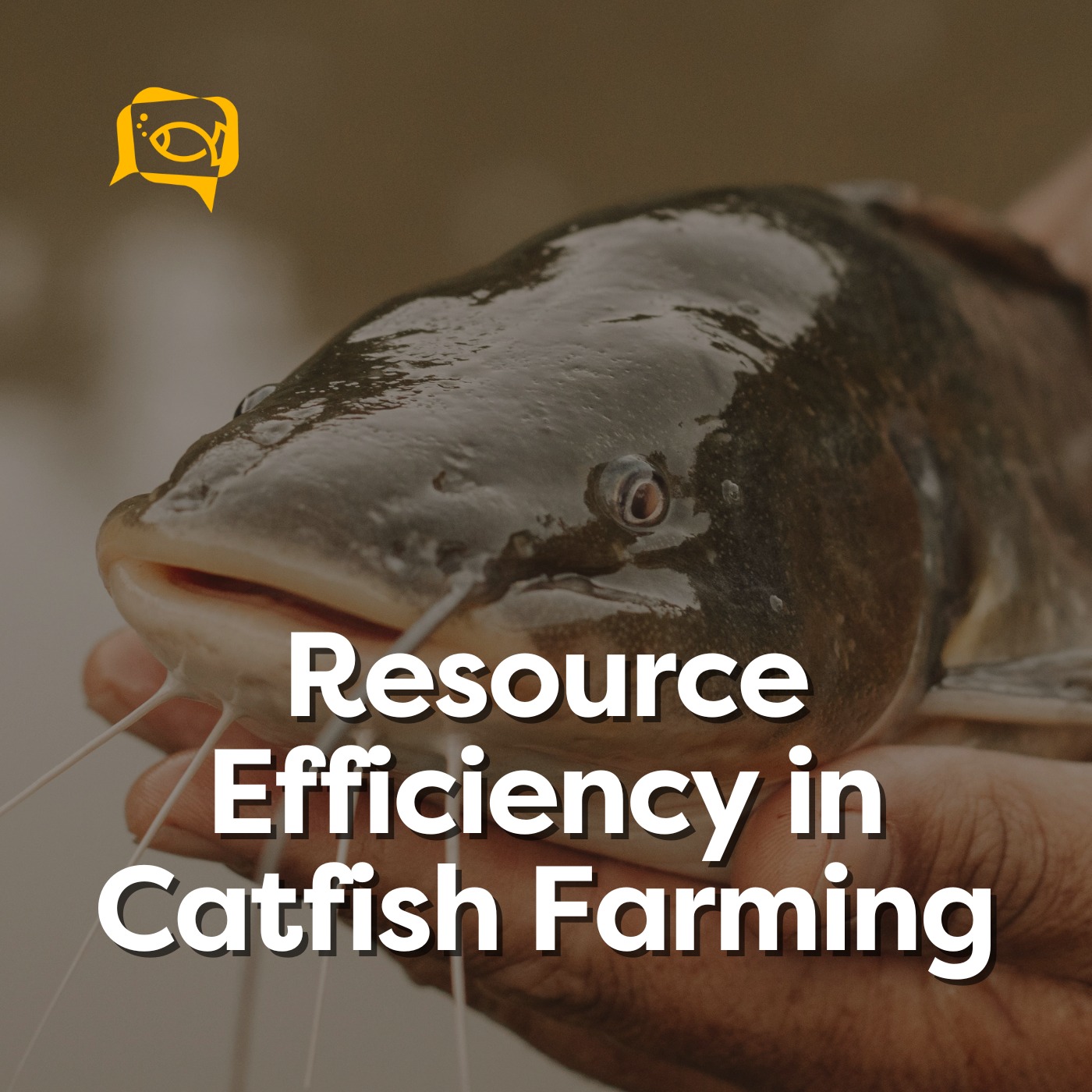 Resource Efficiency in Catfish Farming | Ep. 02