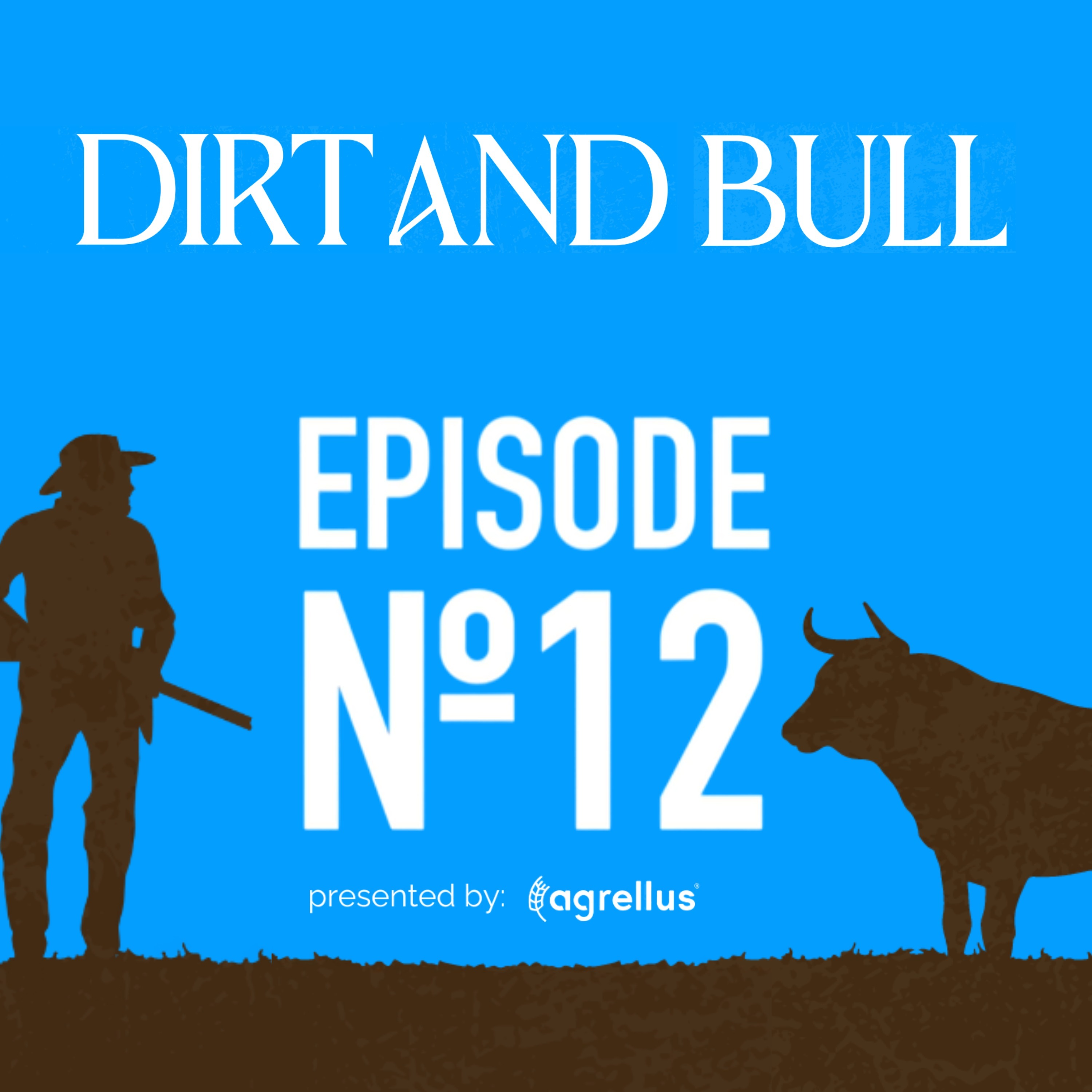 Dirt and Bull