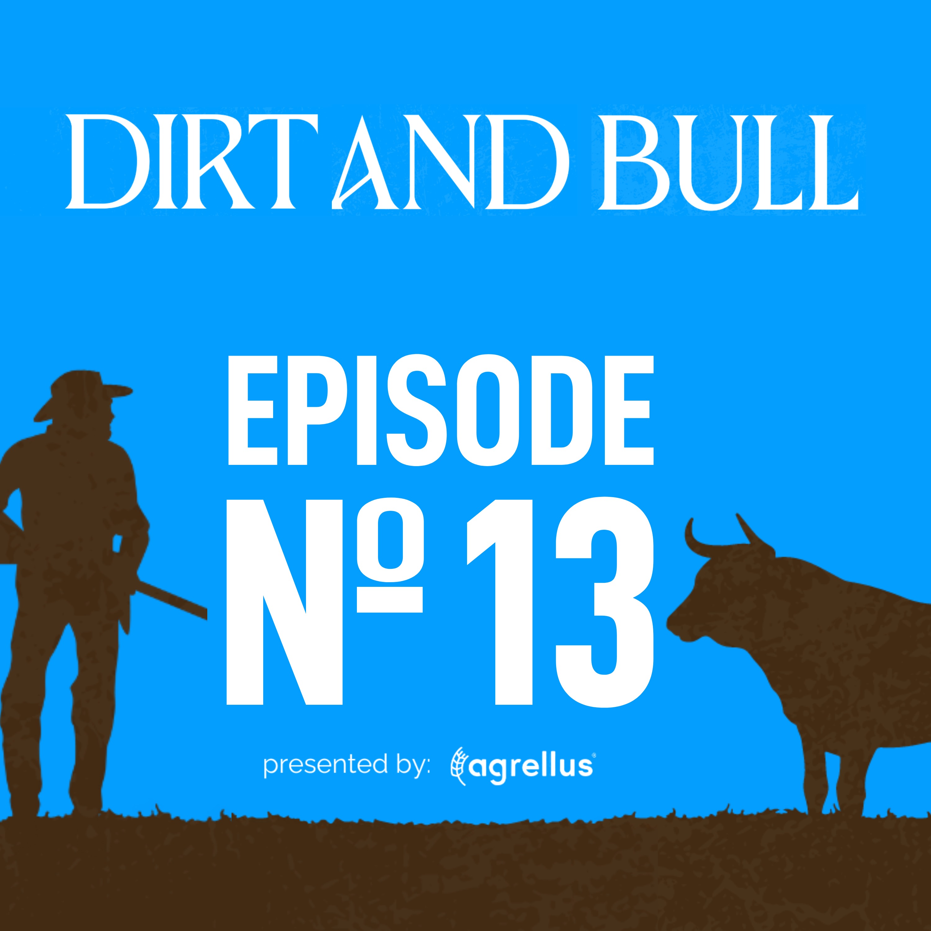 Dirt and Bull
