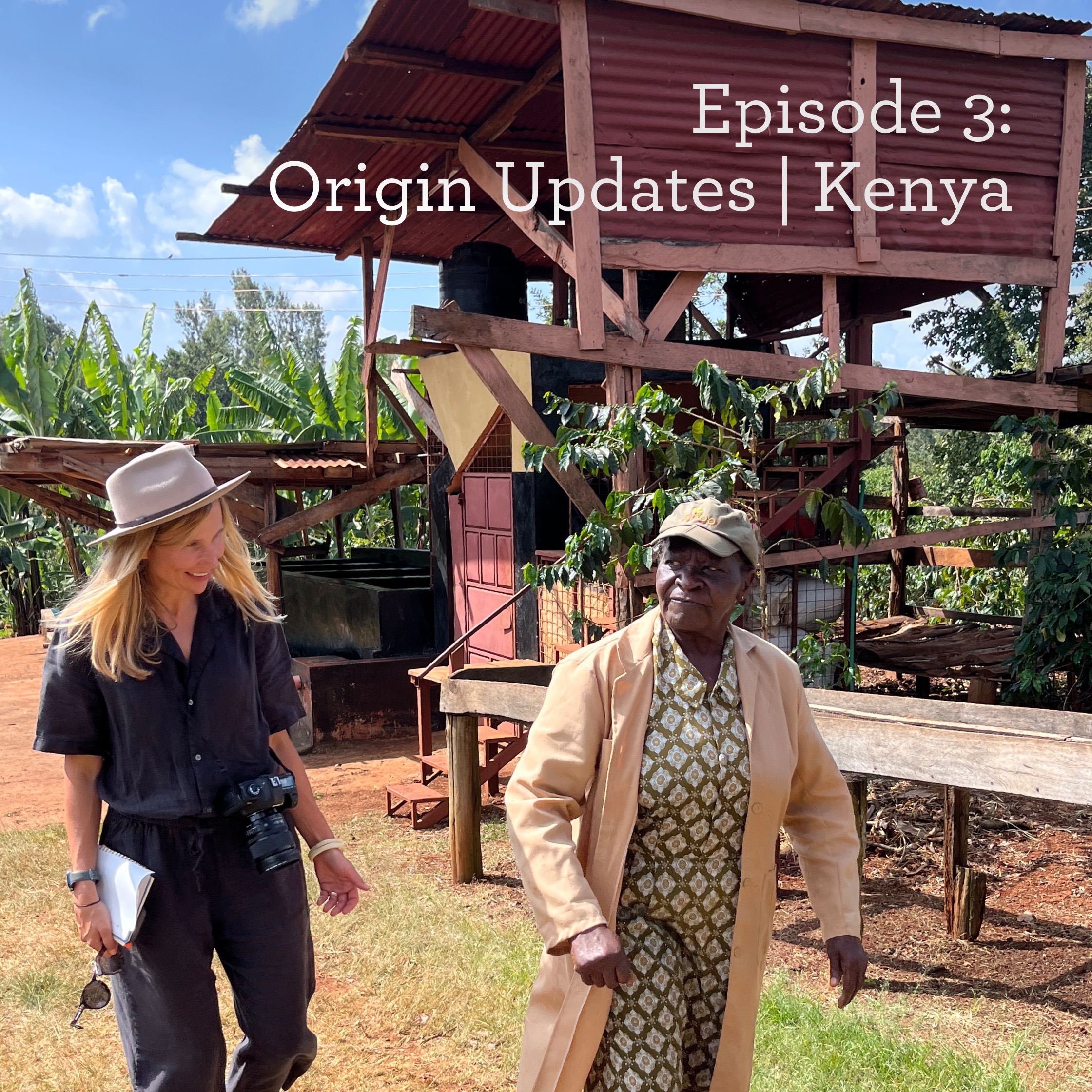 Origin Updates | Kenya episode artwork