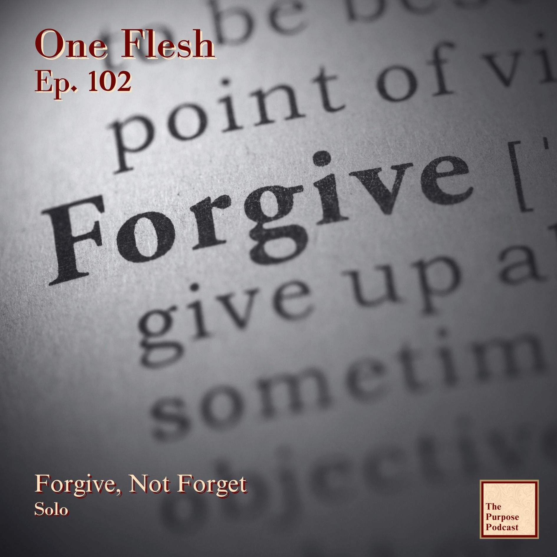 One Flesh Ep. 102 - Forgive, Not Forget | Solo episode artwork