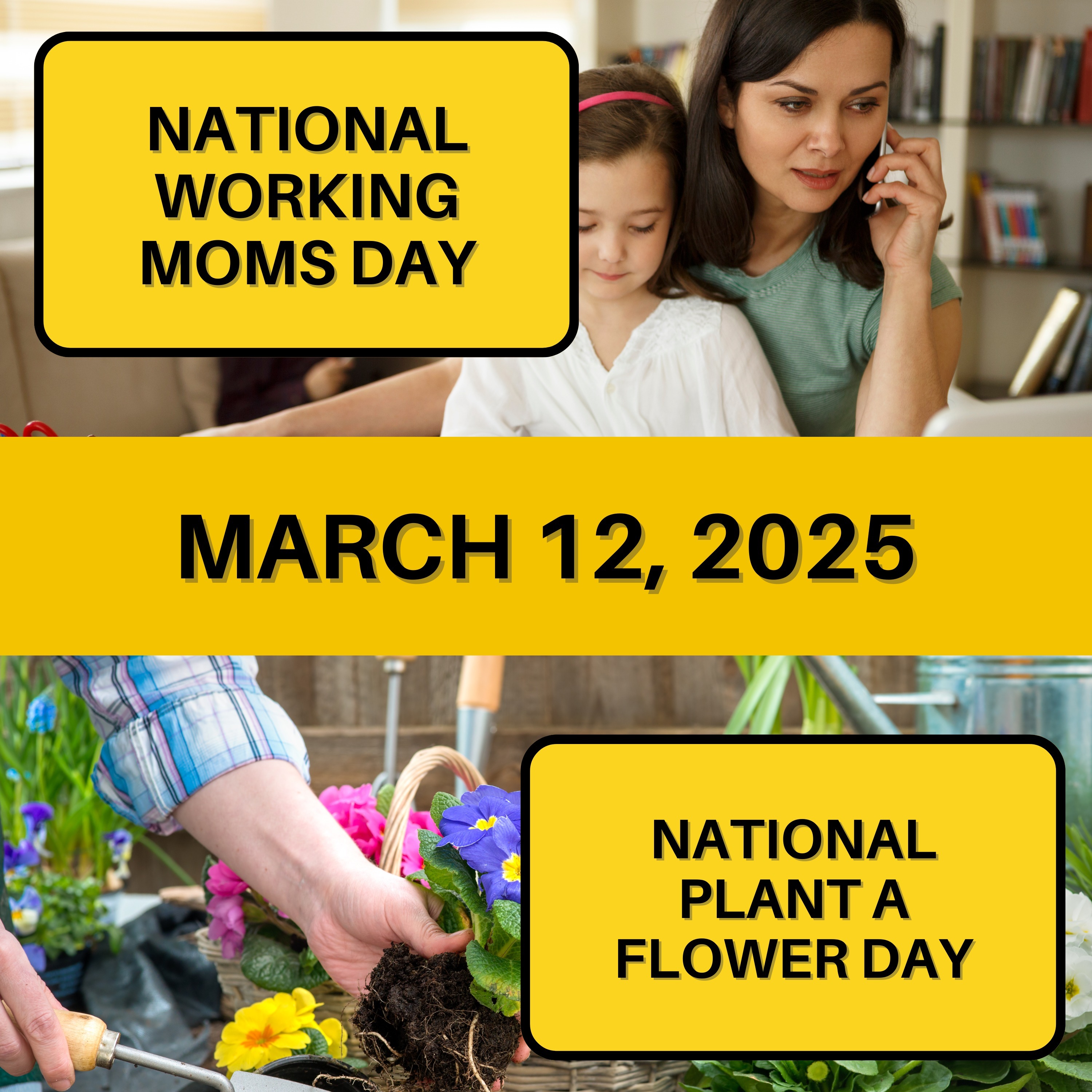 National Working Moms Day & National Plant a Flower Day