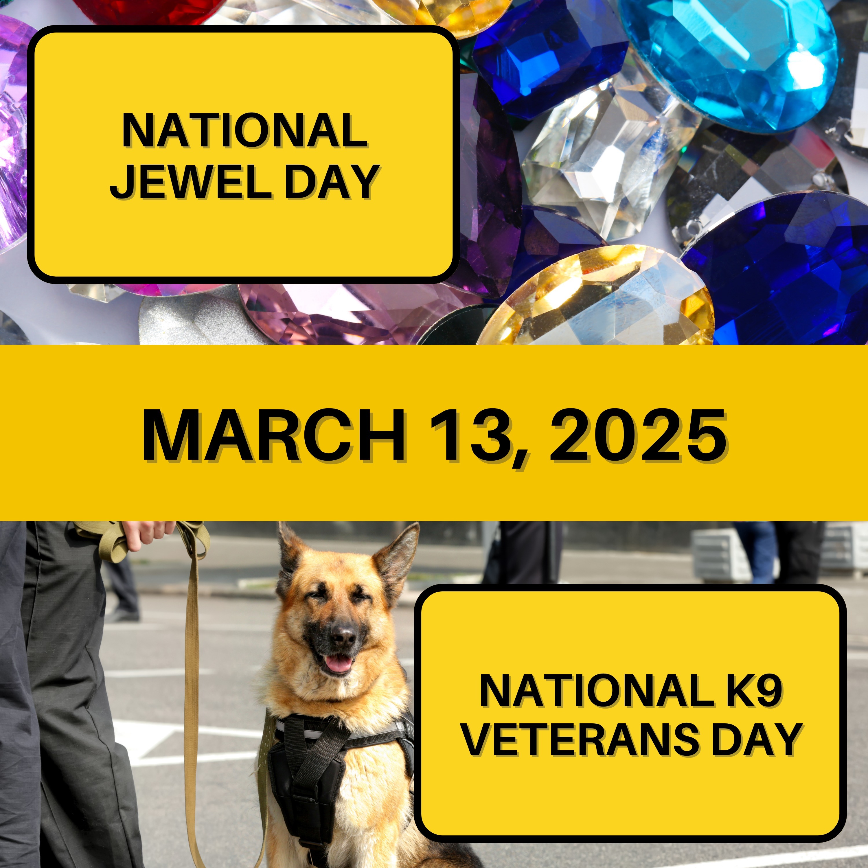 National Jewel Day & National K9 Veterans Day