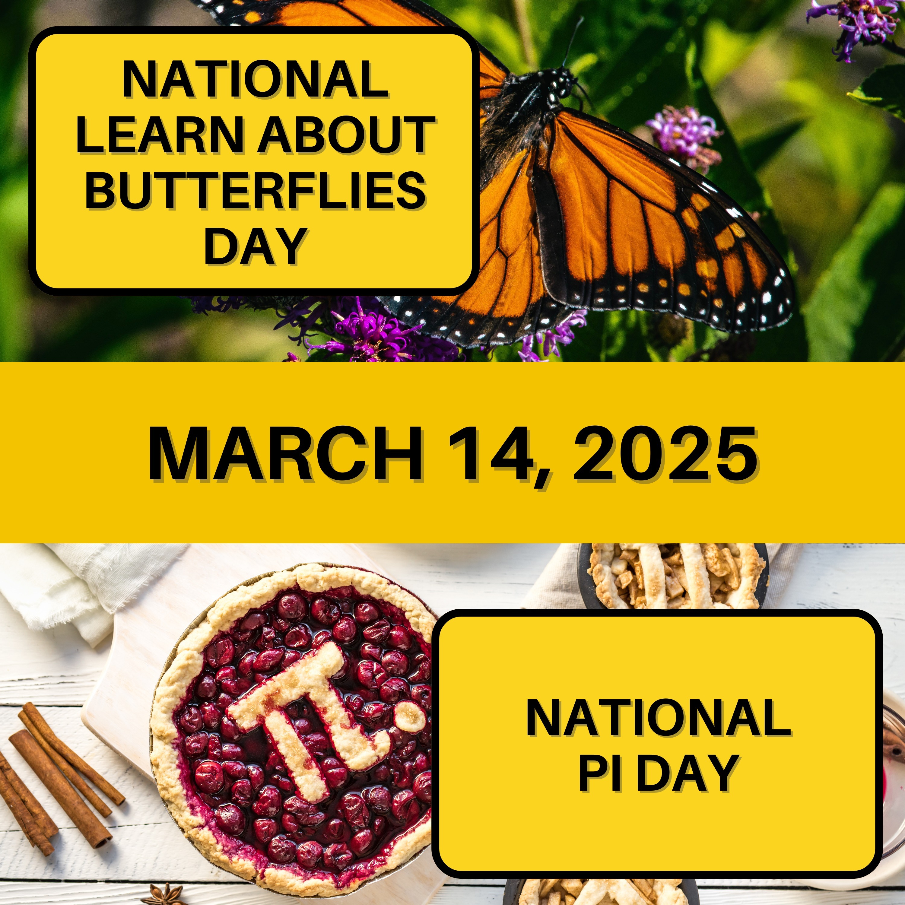 Learn About Butterflies Day & National Pi Day