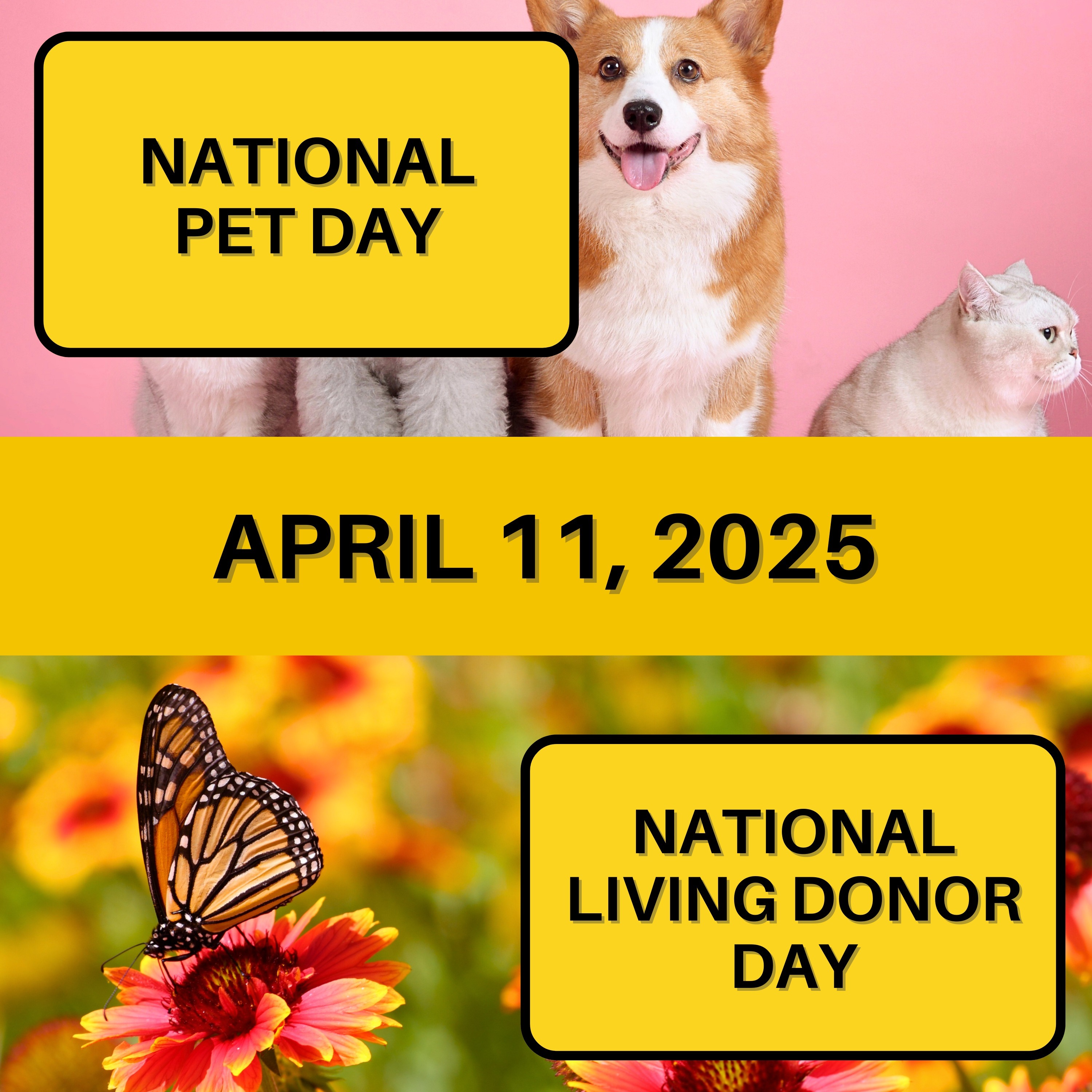 National Pet Day & National Living Donor Day
