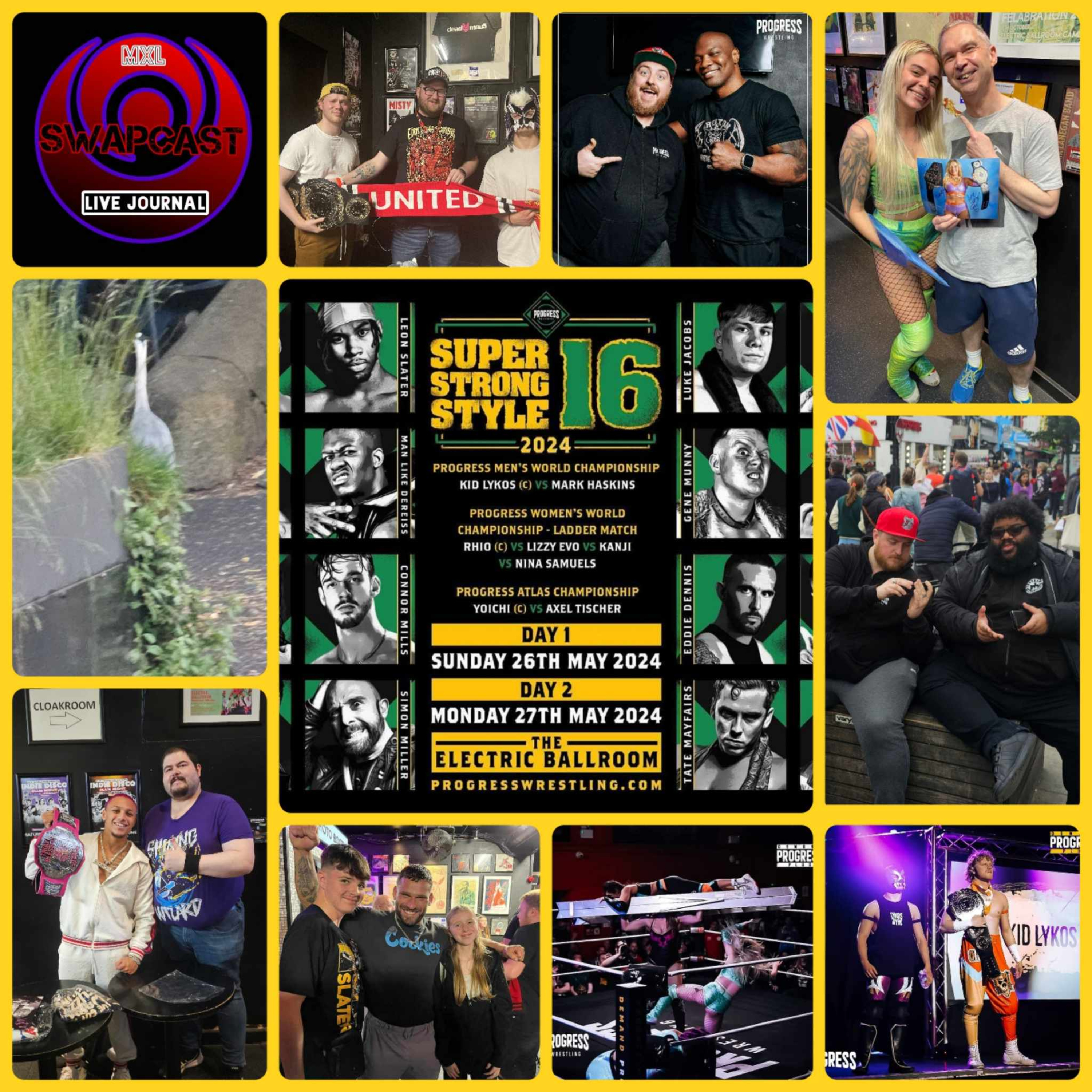 The MxL SwapCast Network