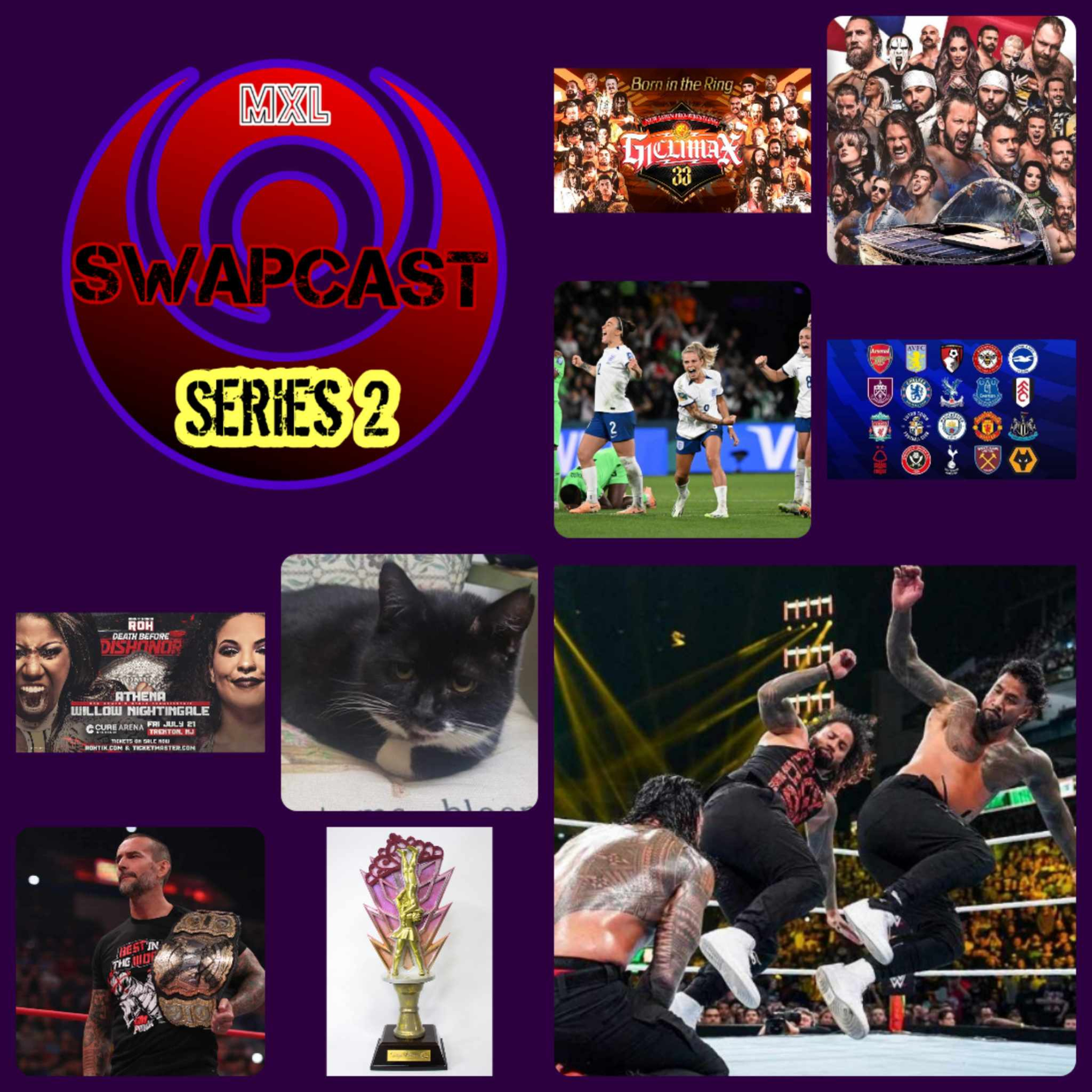 The MxL SwapCast Network