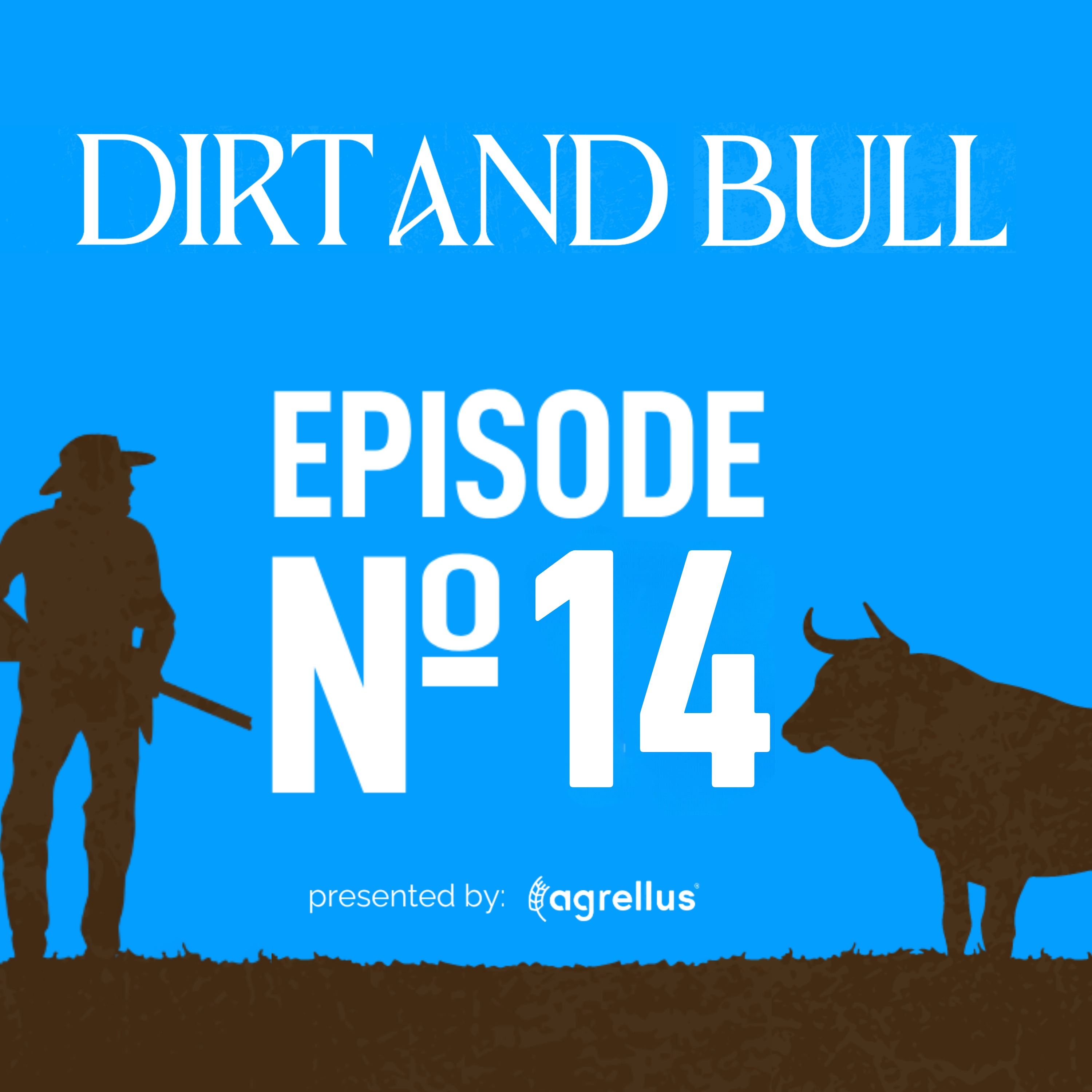 Dirt and Bull