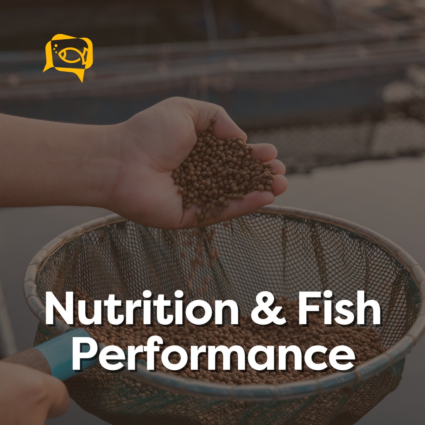 Nutrition & Fish Performance | Ep. 05