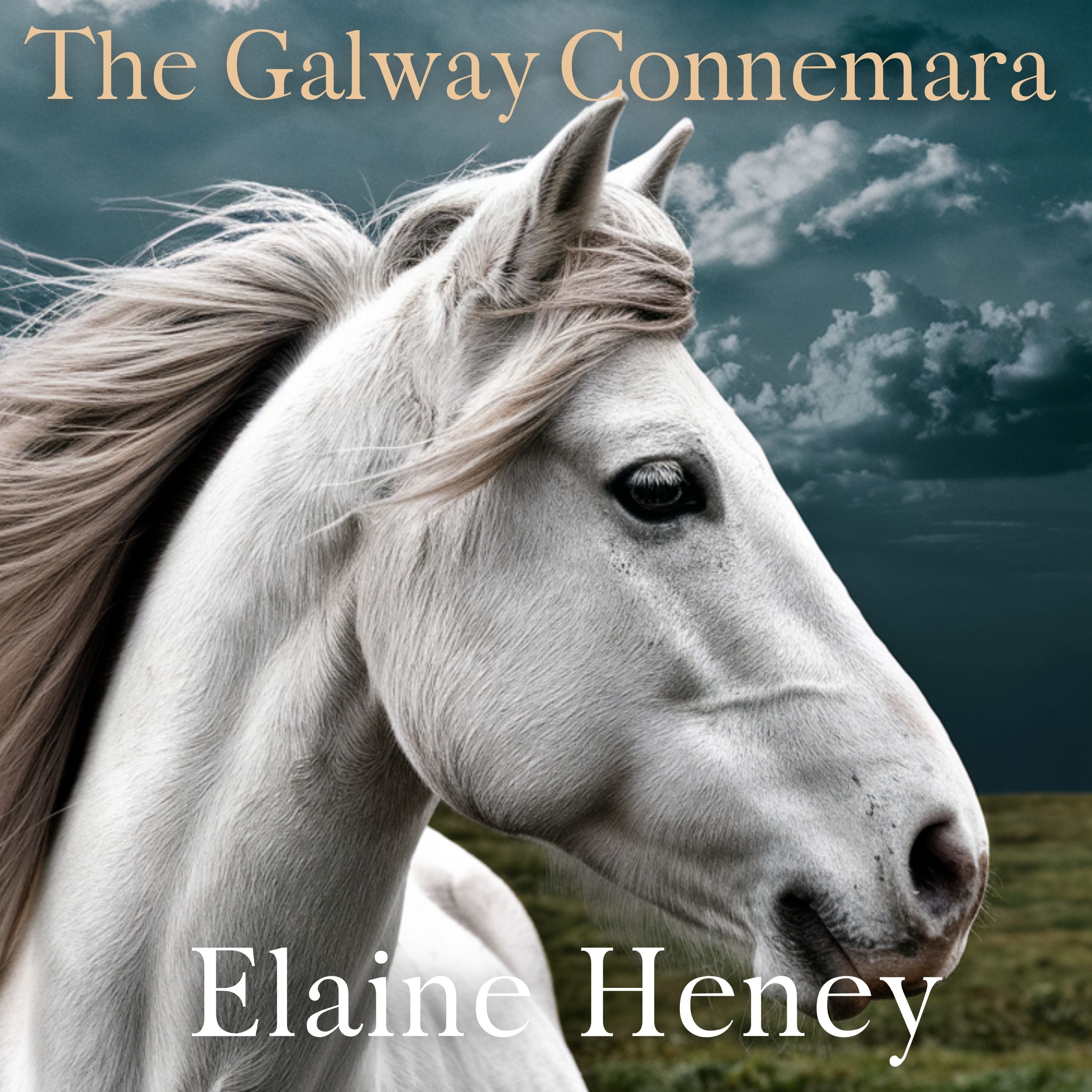 The Elaine Heney Horse & Pony Audiobook Podcast