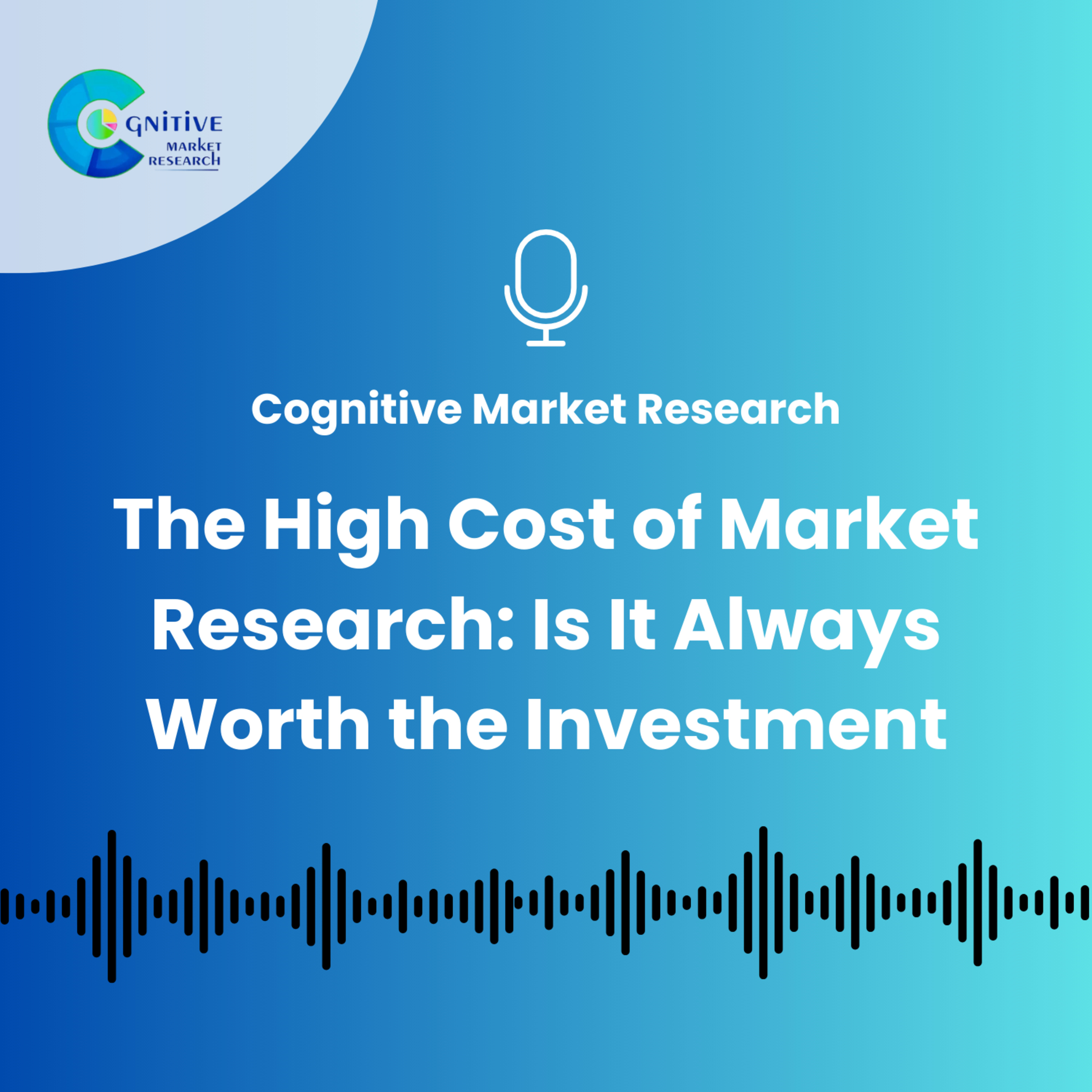 The High Cost of Market Research: Is It Always Worth the Investment episode artwork
