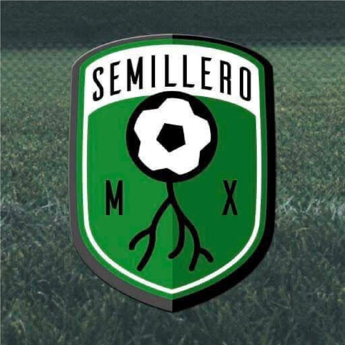 SEMILLERO MX