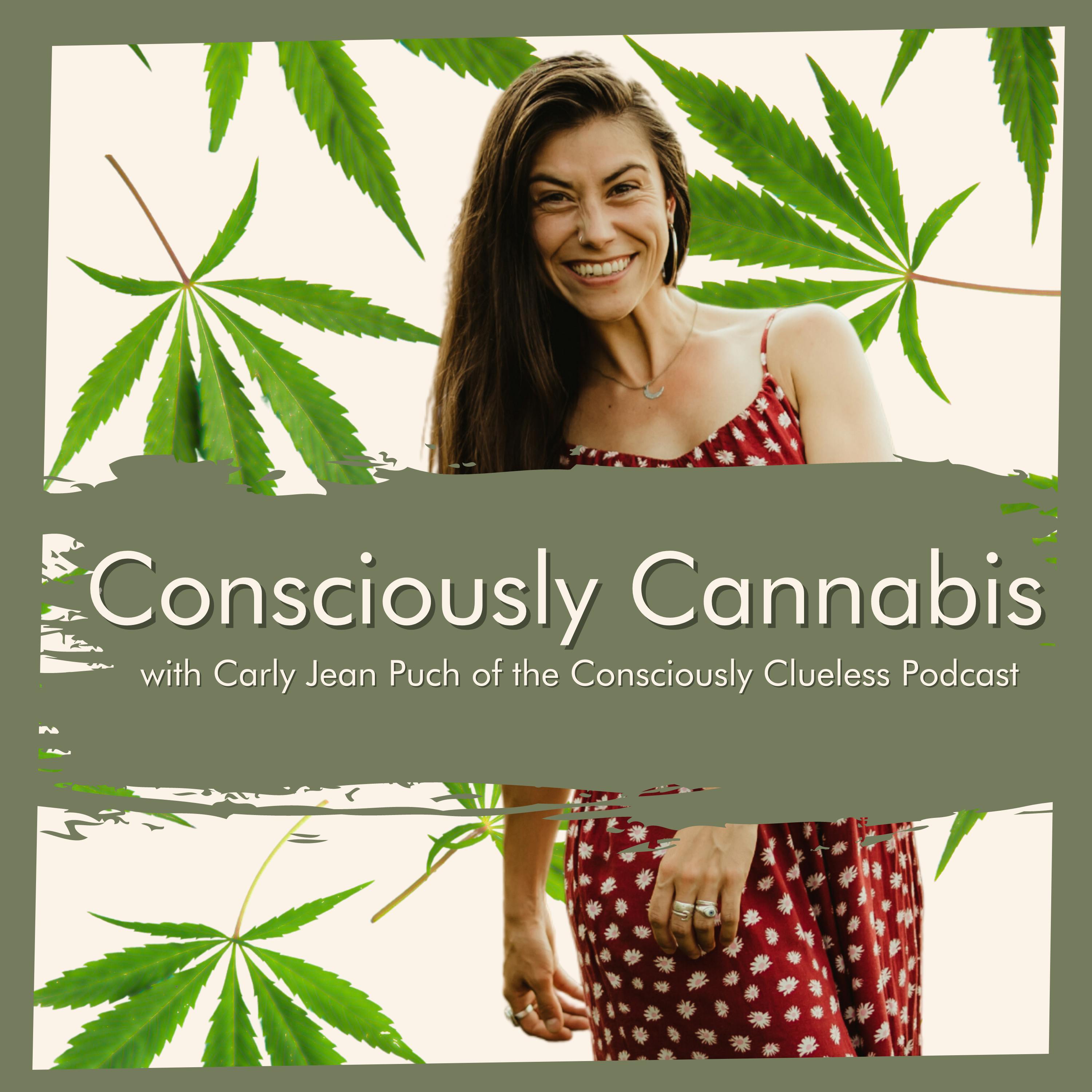 Consciously Cannabis - CBG, Hempcrete, and the Future of Cannabis with Shawn Magill episode artwork