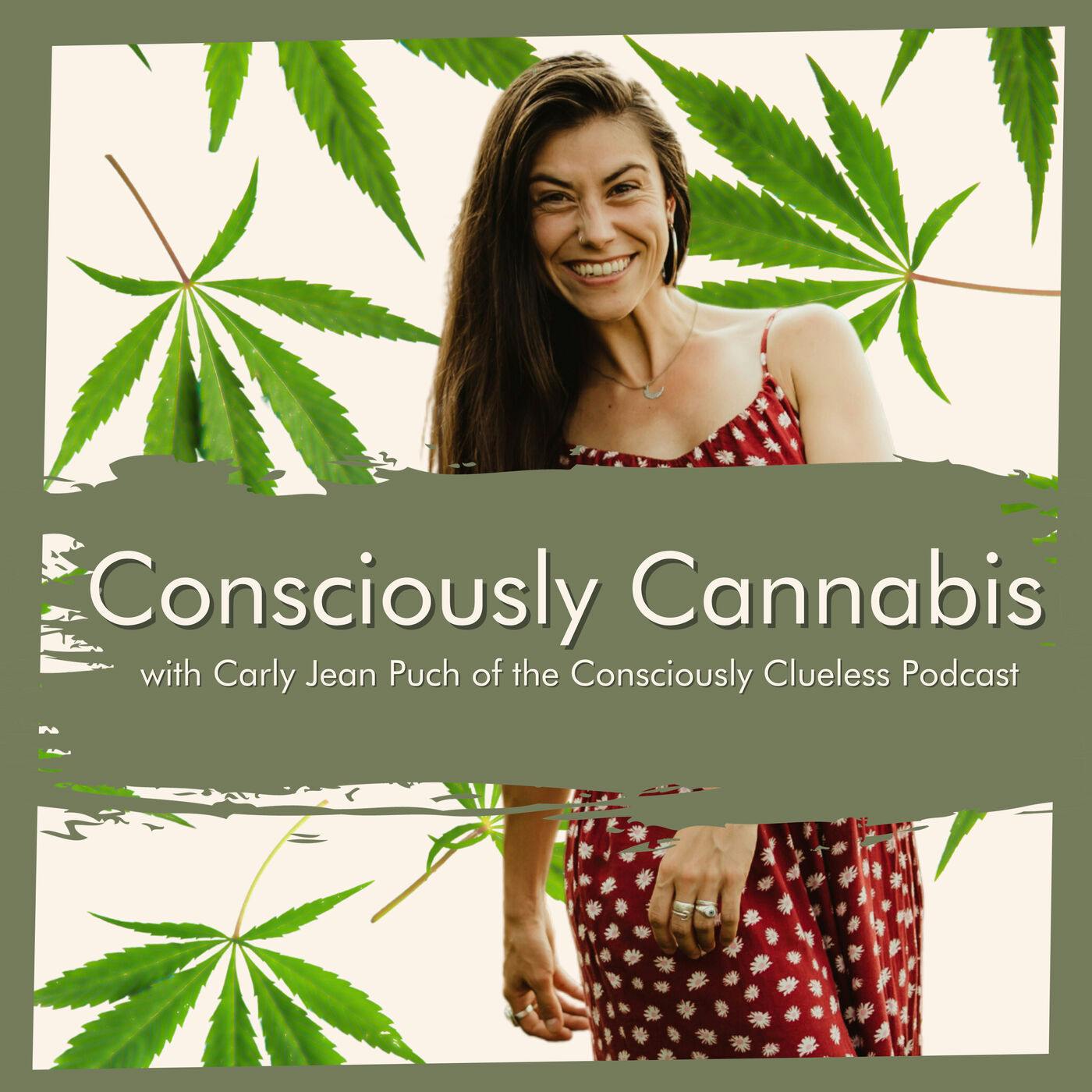Consciously Cannabis - From Prohibition to Reform: A Deep Dive into Cannabis Policy with Morgan Fox episode artwork