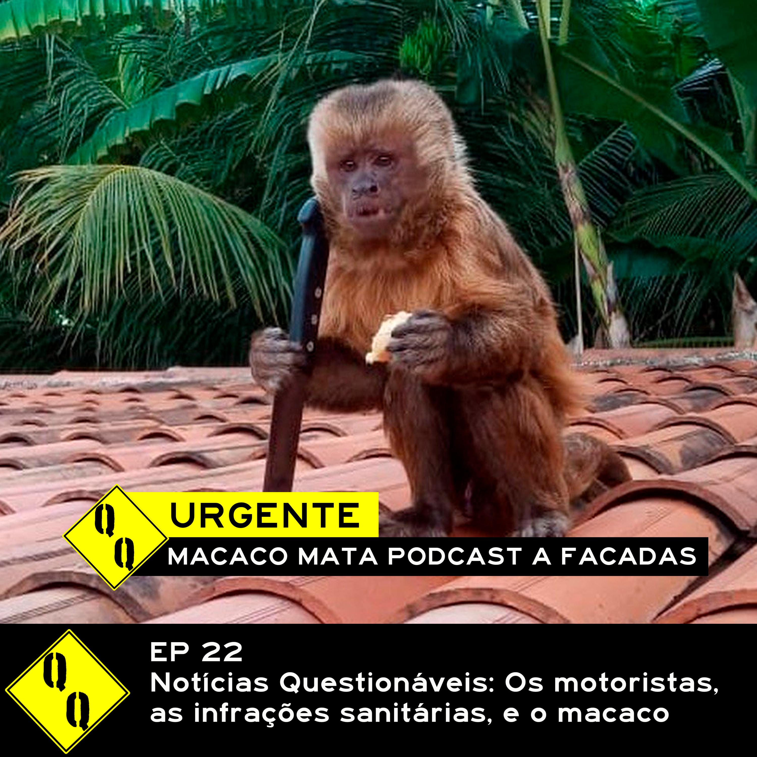 Qualidade Questionável