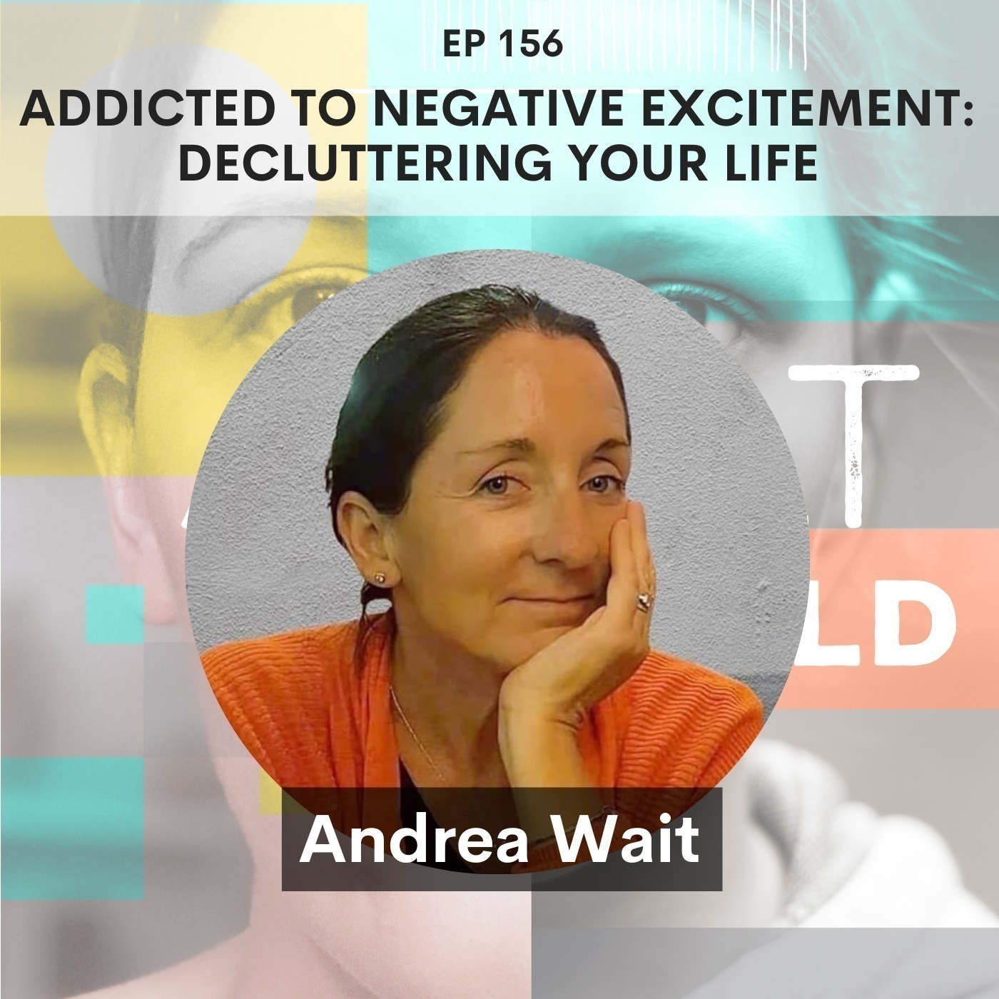 156 - Addicted to Negative Excitement: Decluttering Your Life w/ Andrea Wait