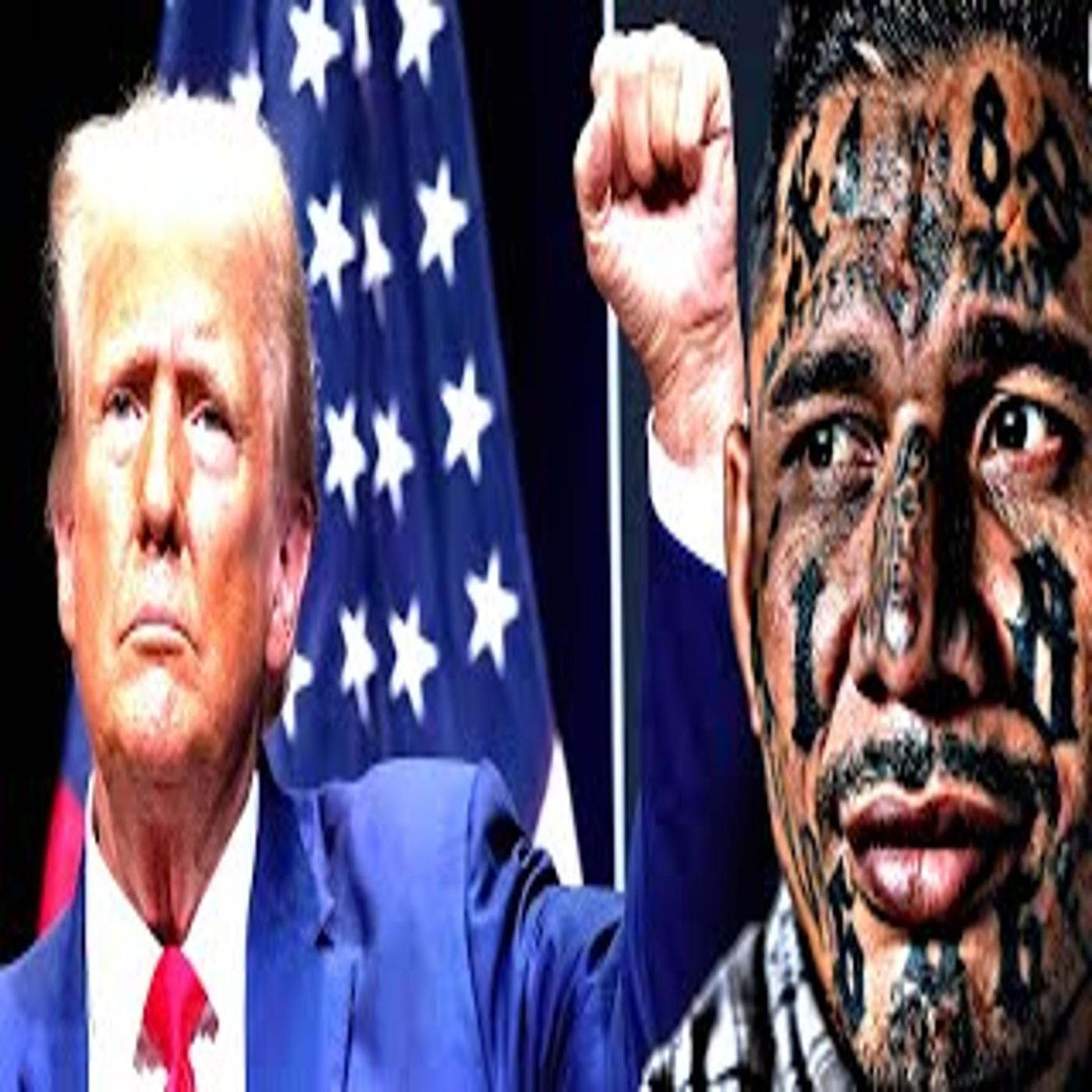 El Salvador Deportations- MS 13 & Trump episode artwork