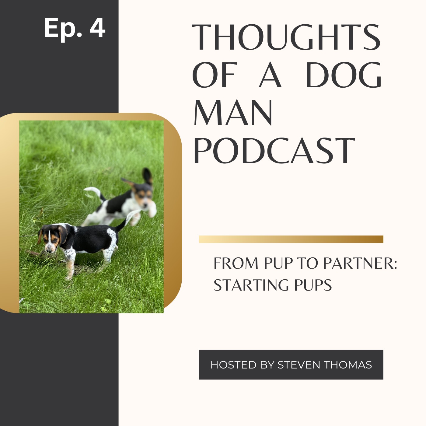 From Pup to Partner: Phase 1: Pup Starting Tips for New and First Time Handlers