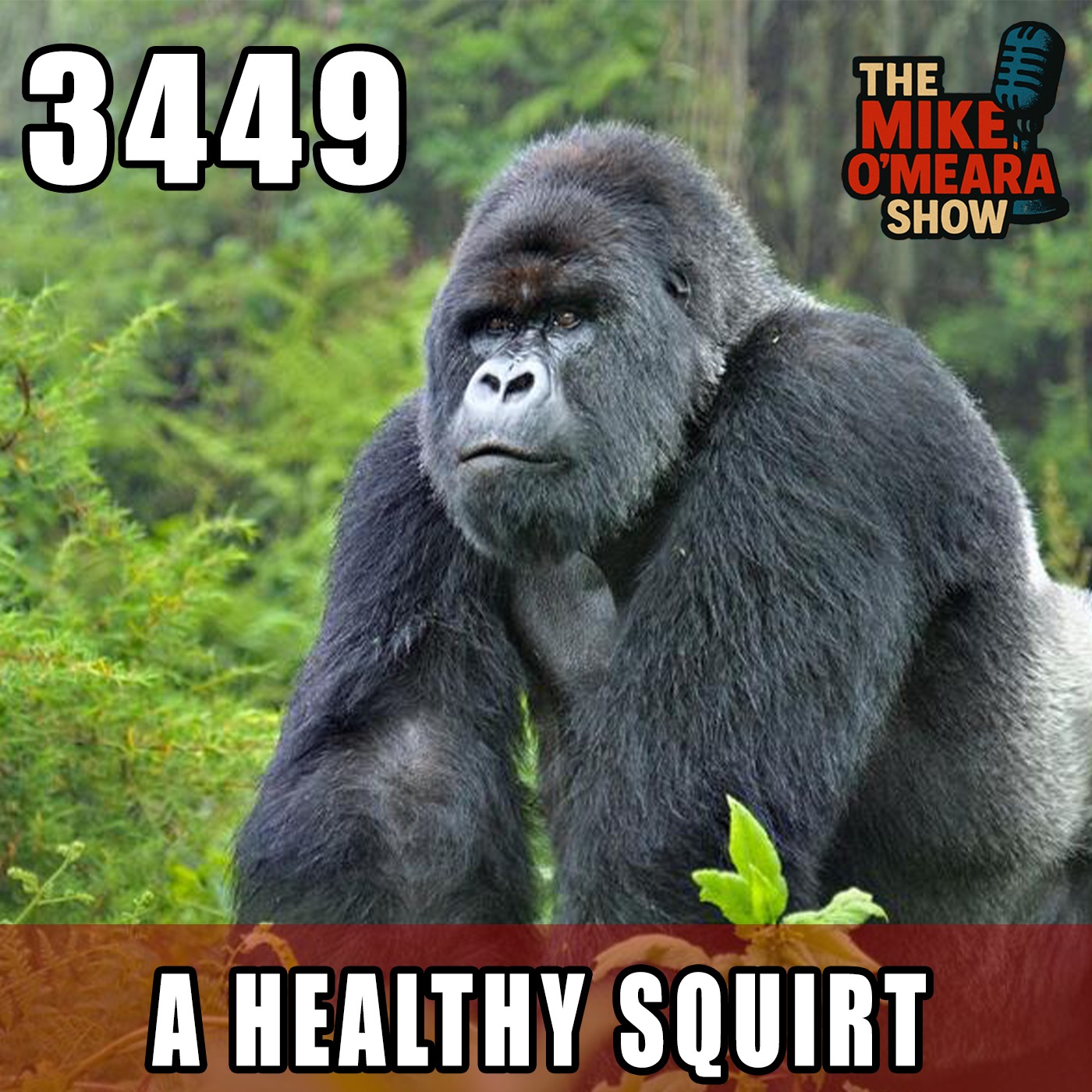 The Mike O\'Meara Show