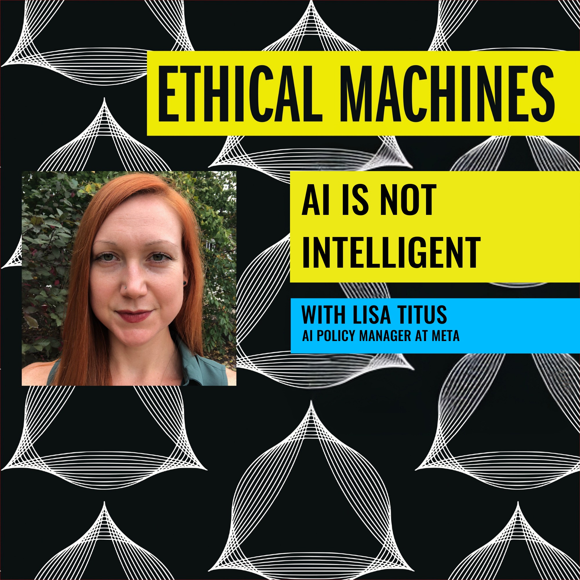 AI is Not Intelligent