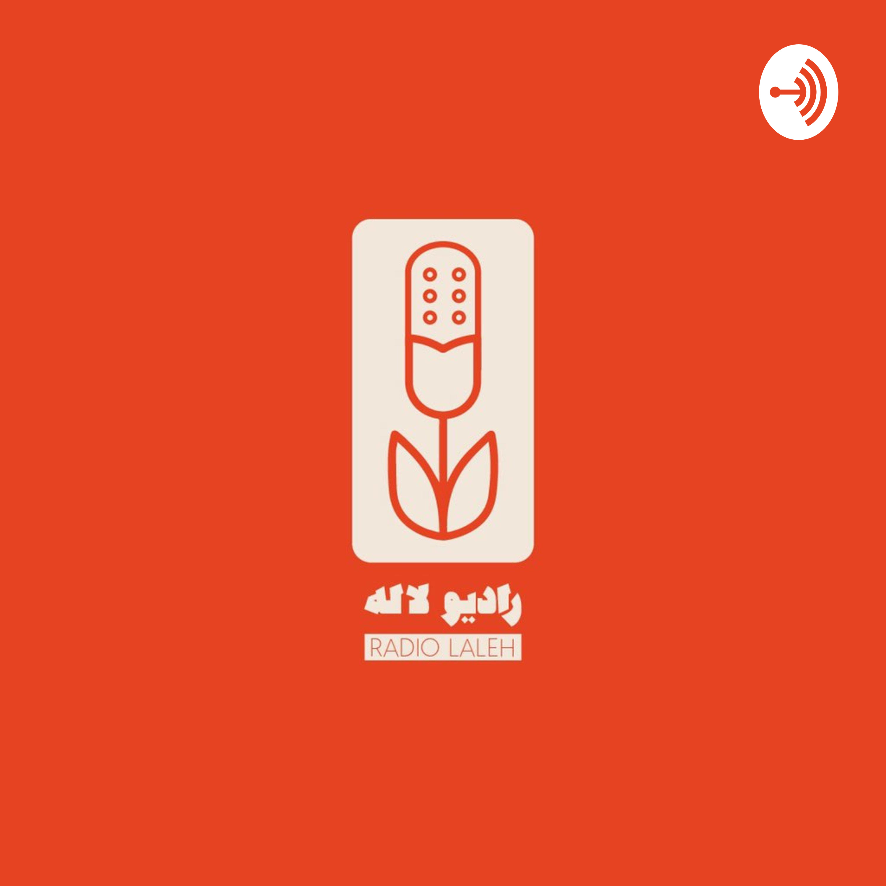 یکی از «ما». برای جادی و ضیا صدر