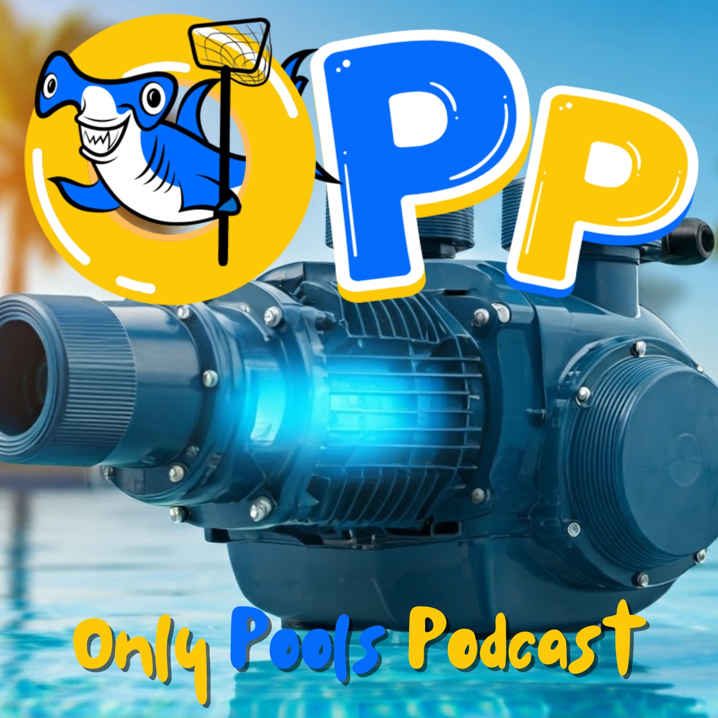 Why You should Switch to Variable Speed Pumps!