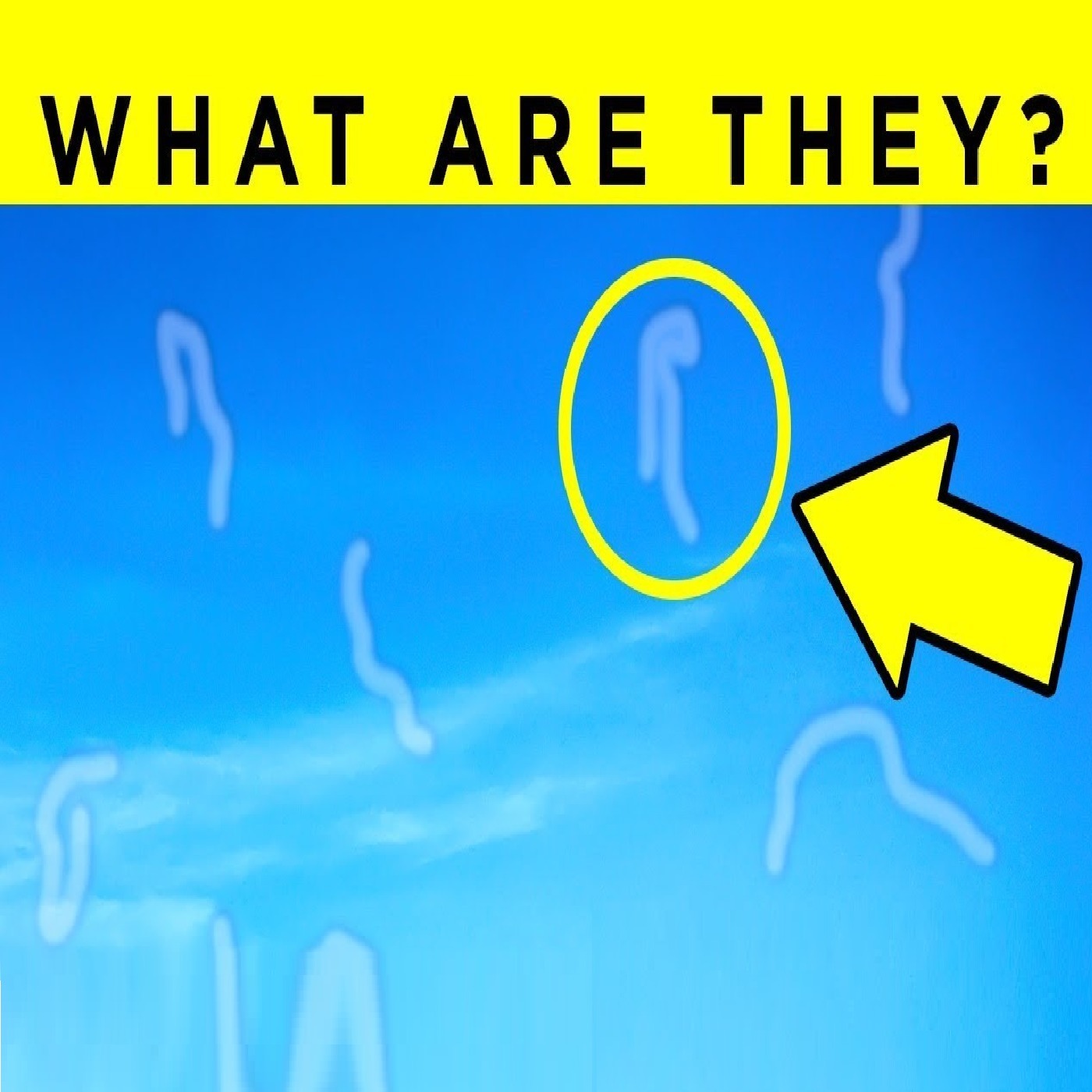 What Are Those Floaty Things In Your Eye? Fact Show