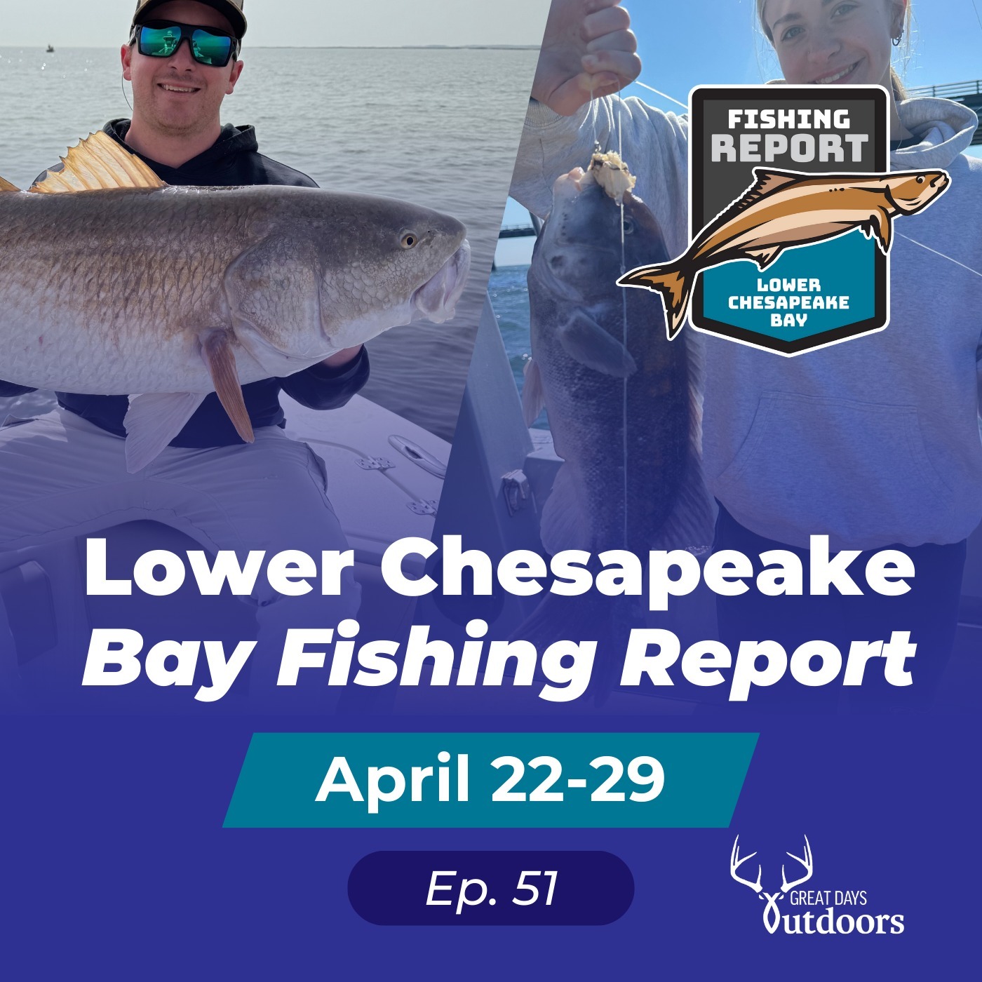 Schools of Bull Red Drum, Tautog & Inshore Puppy Drum