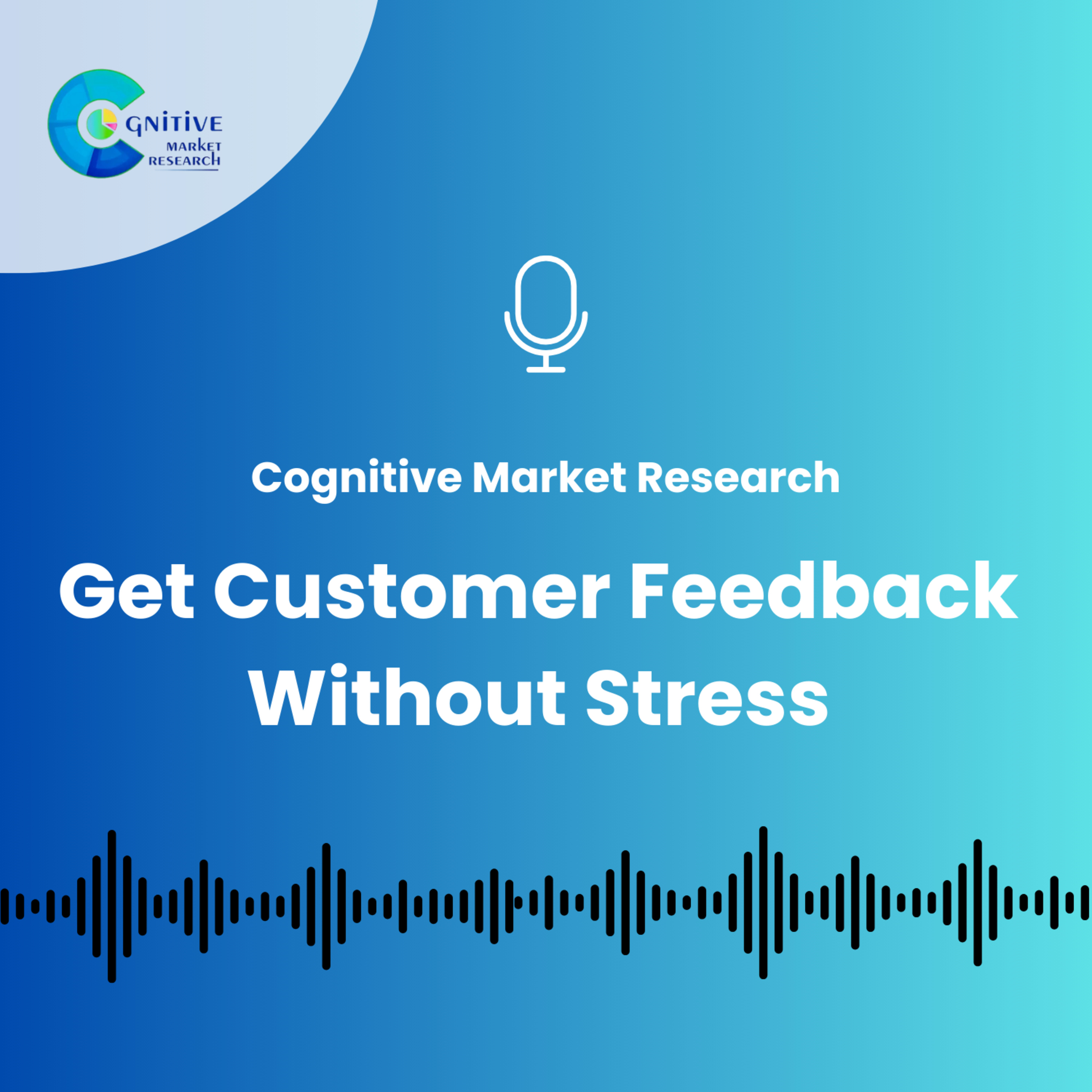 Get Customer Feedback Without Stress episode artwork