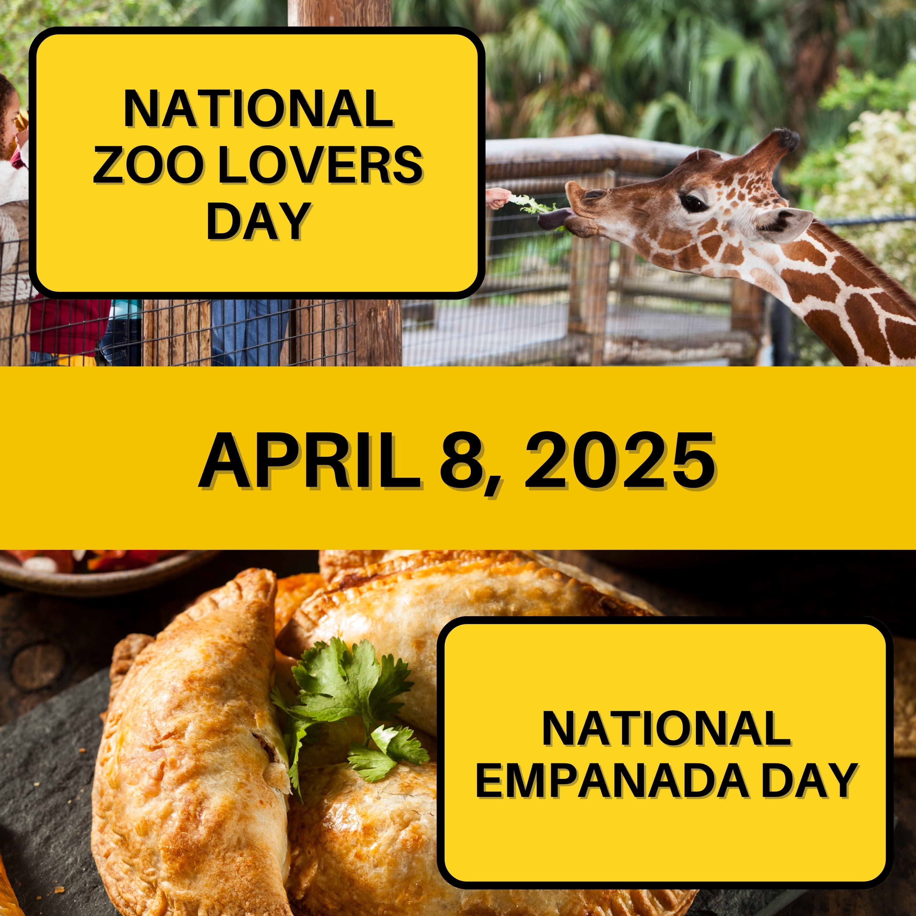 National Zoo Lovers Day & National Empanada Day