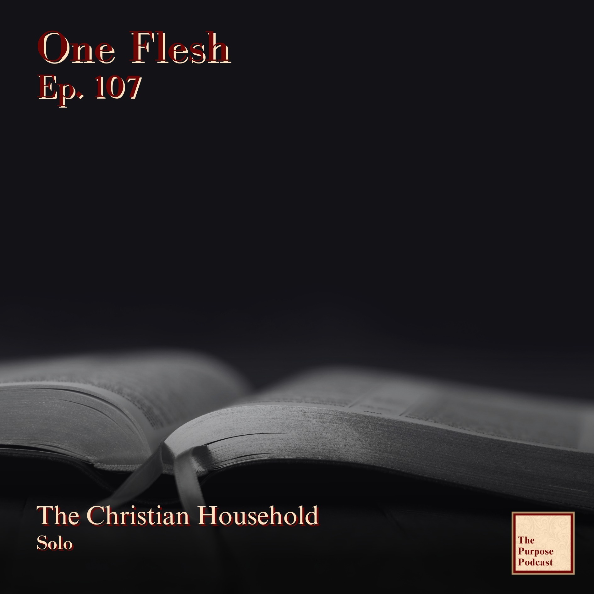 One Flesh Ep. 107 - The Christian Household | Solo episode artwork