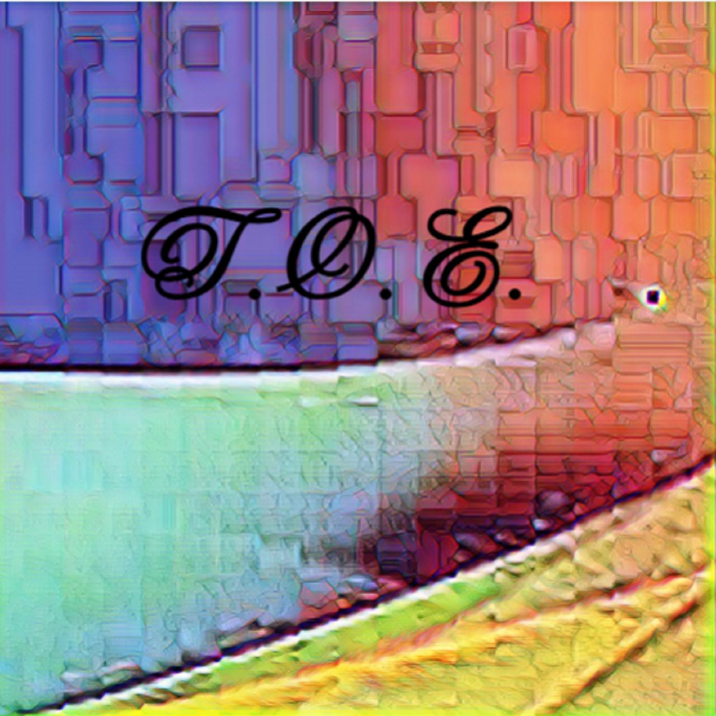 T.O.E.