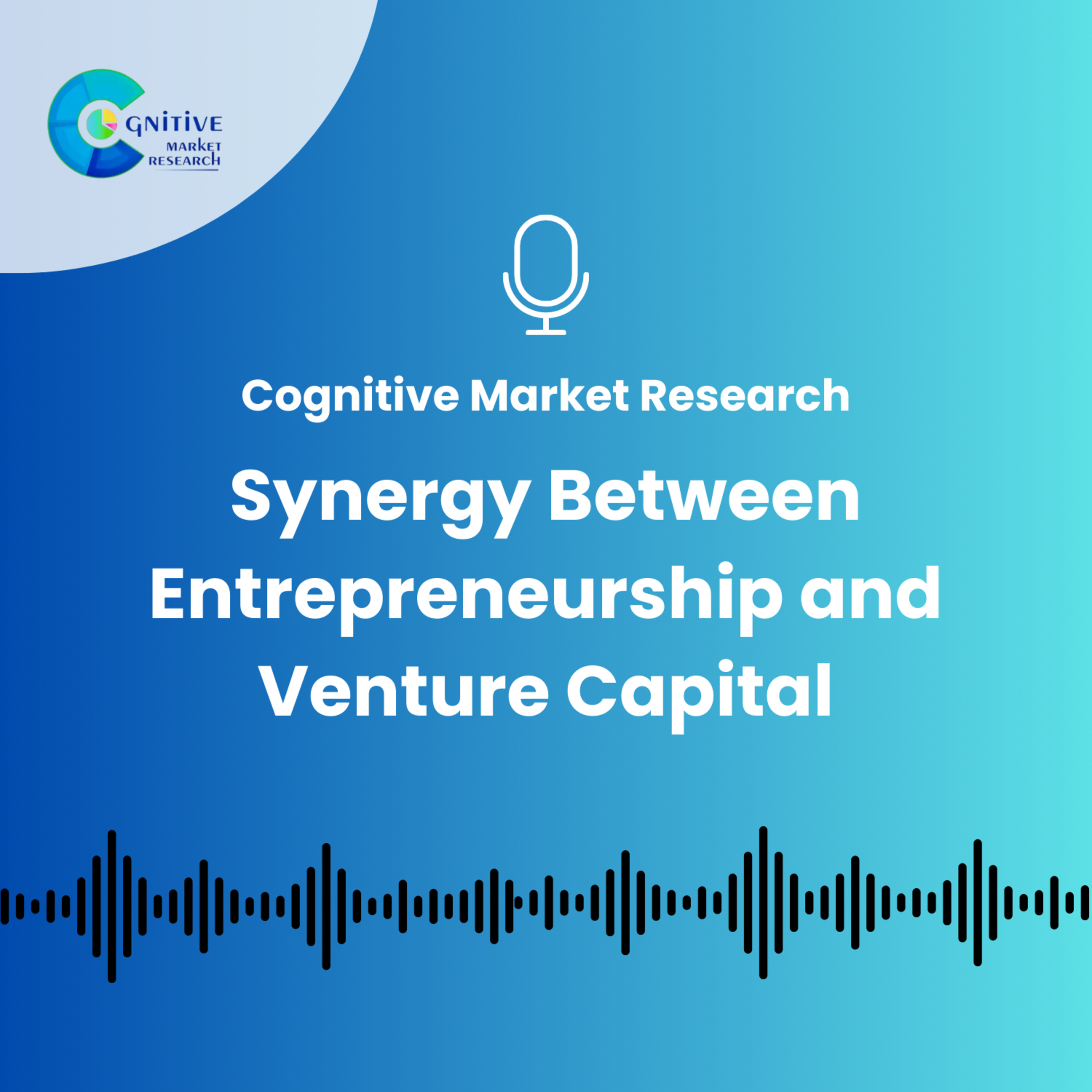 Synergy Between Entrepreneurship and Venture Capital episode artwork
